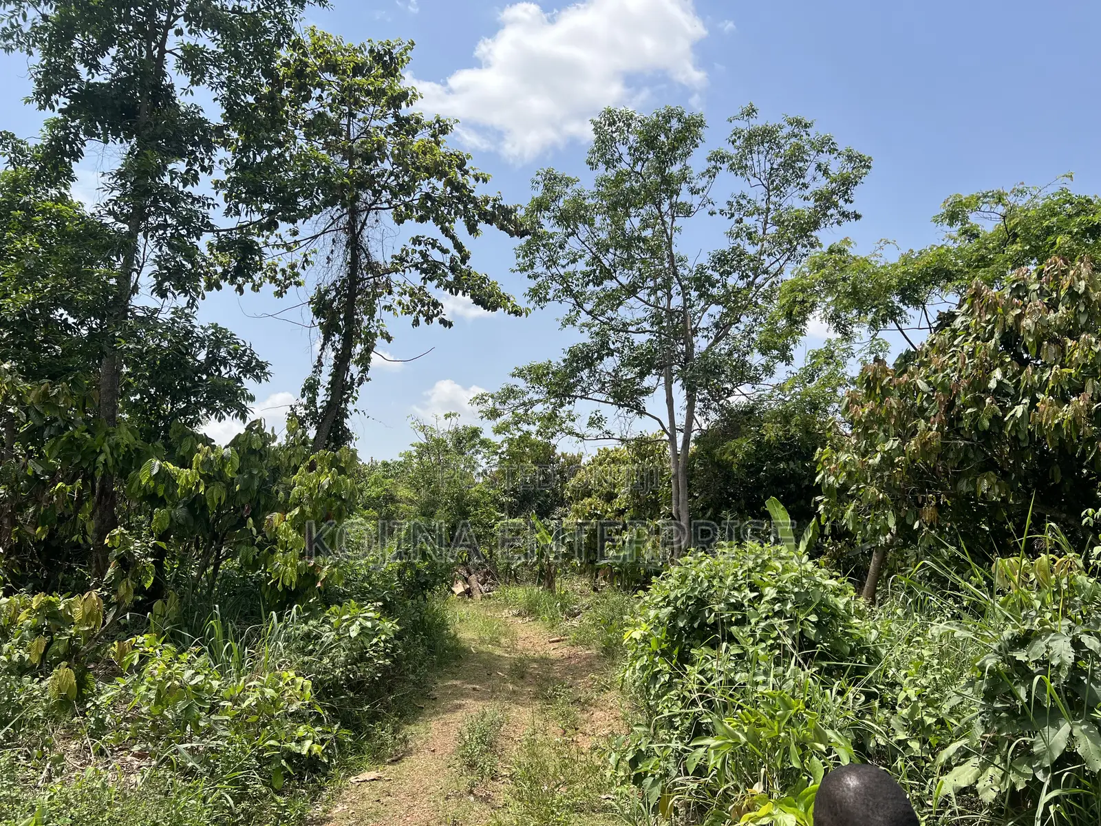 Affordable Land for Sale at Ejisu-Adense in Ejisu-Juaben Municipal