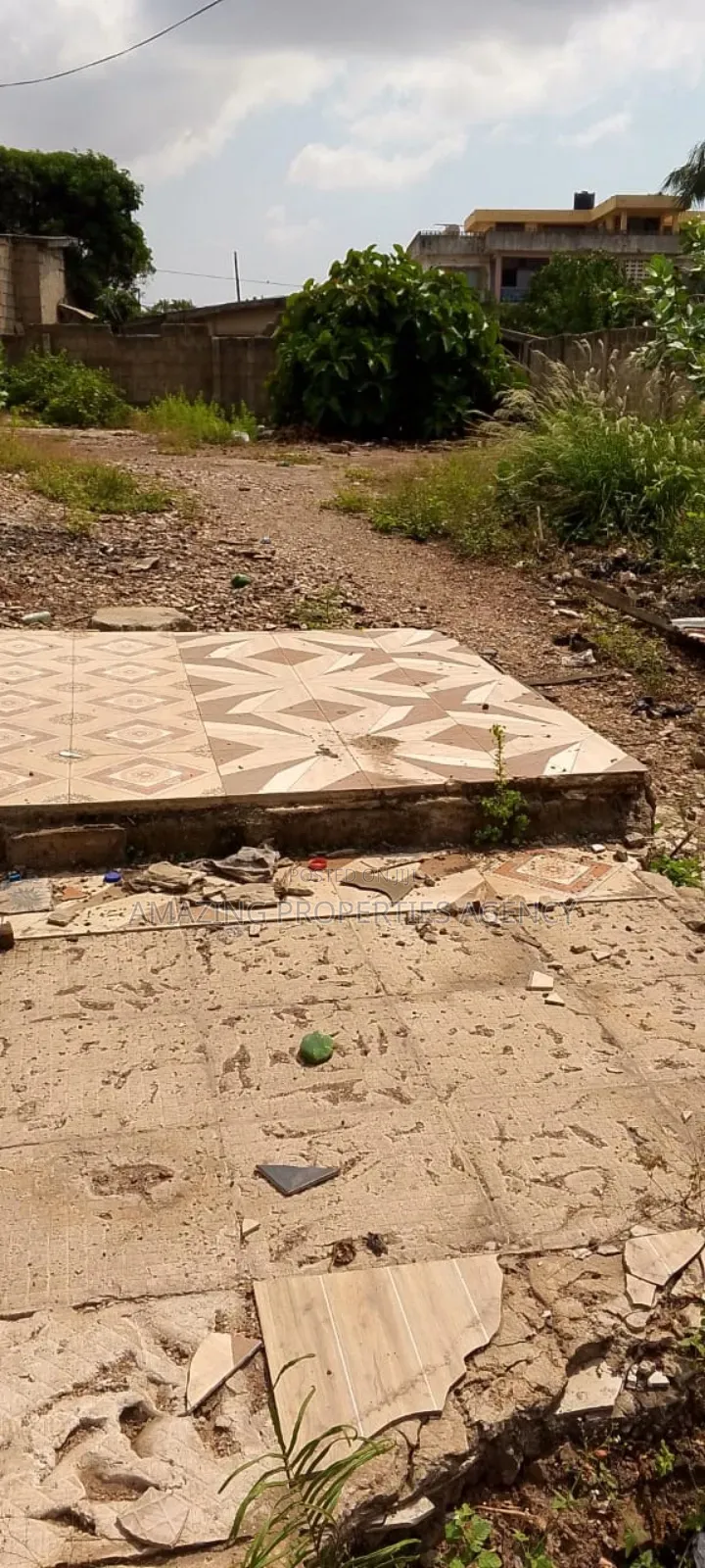 1.29 Acre Title Land at Achimota Neoplan Opposite.Adb in Neoplan