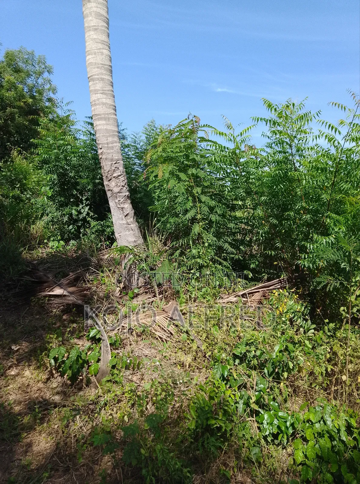 Registered One Plot of Land at Moree for Sale in Abura/Asebu/Kwamankese