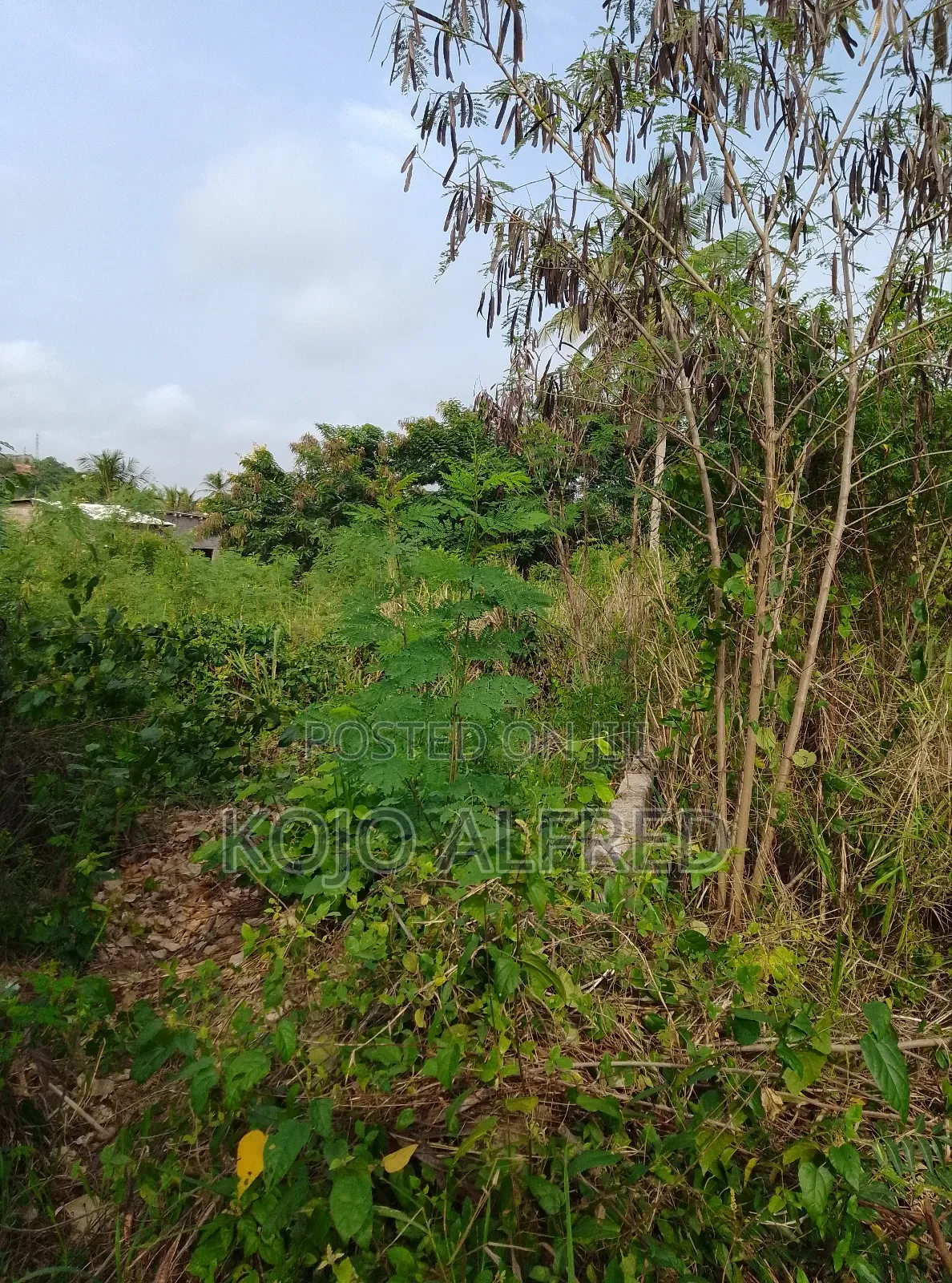 Registered One Plot of Land at Moree for Sale in Abura/Asebu/Kwamankese