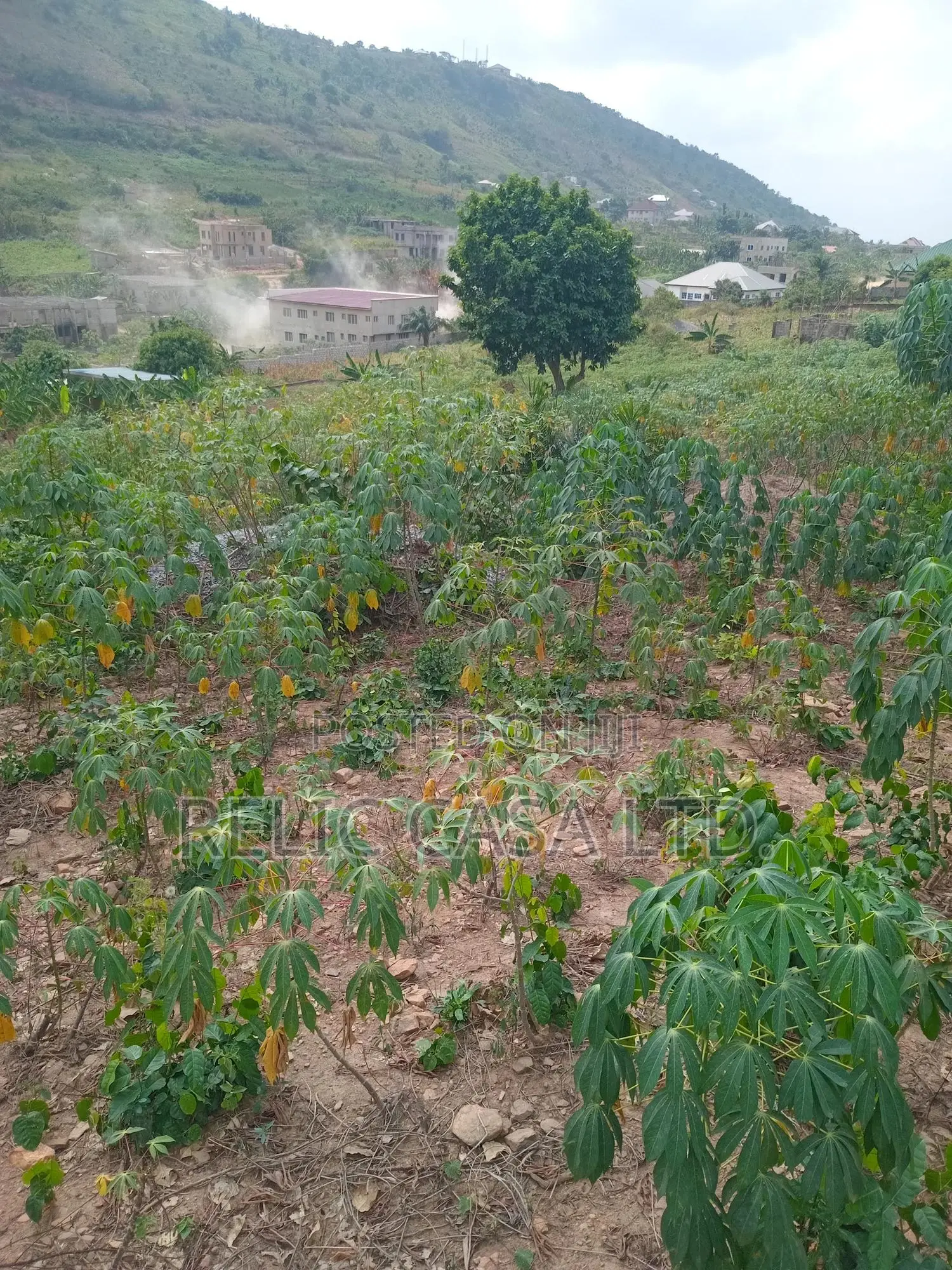 Titled Land In Amasaman – 10% in Accra Metropolitan
