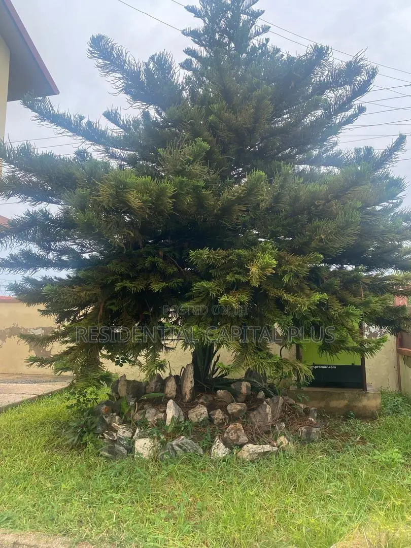 Furnished 7bdrm Duplex in Spintex for rent in Spintex