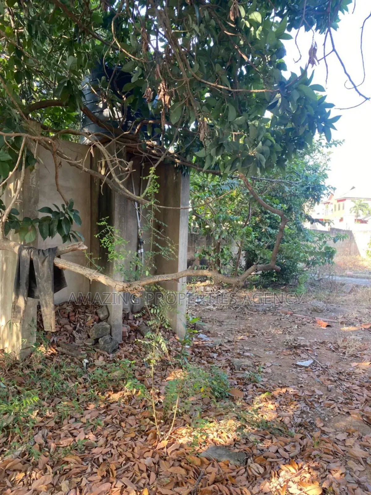 2 Plots (120ft/100ft) of Land With an Old Building for Sale Dzorwulu. in Dzorwulu