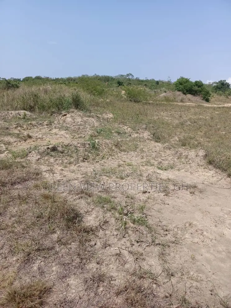 Full Plot of Land for Sale Akoti After Liberia Camp,Winneba Highway) in Awutu Senya East Municipal