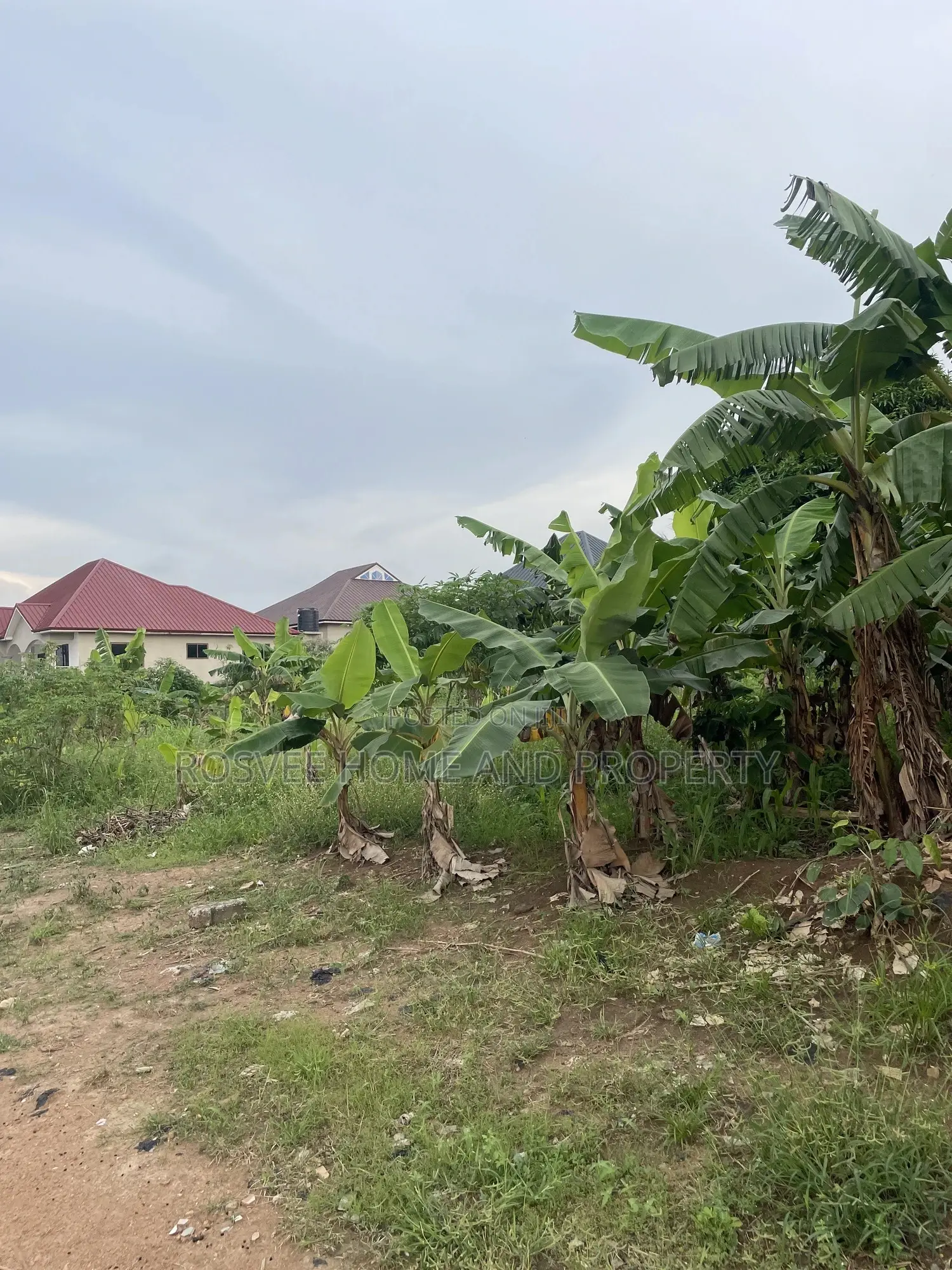 Residential Land at Adako Gyakye in Ejisu-Juaben Municipal
