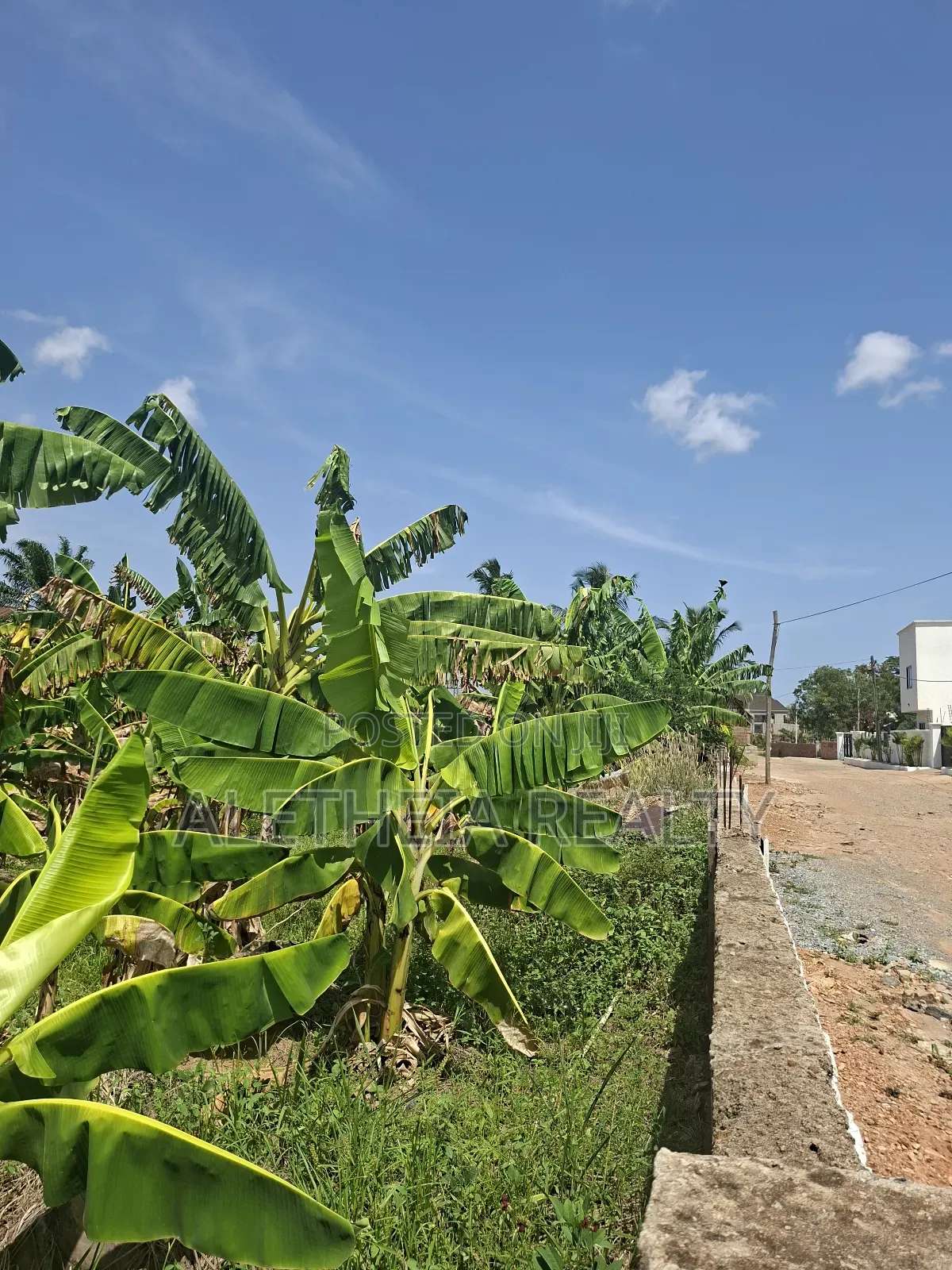 Land for Sale at Adenta Roman in SDA Area
