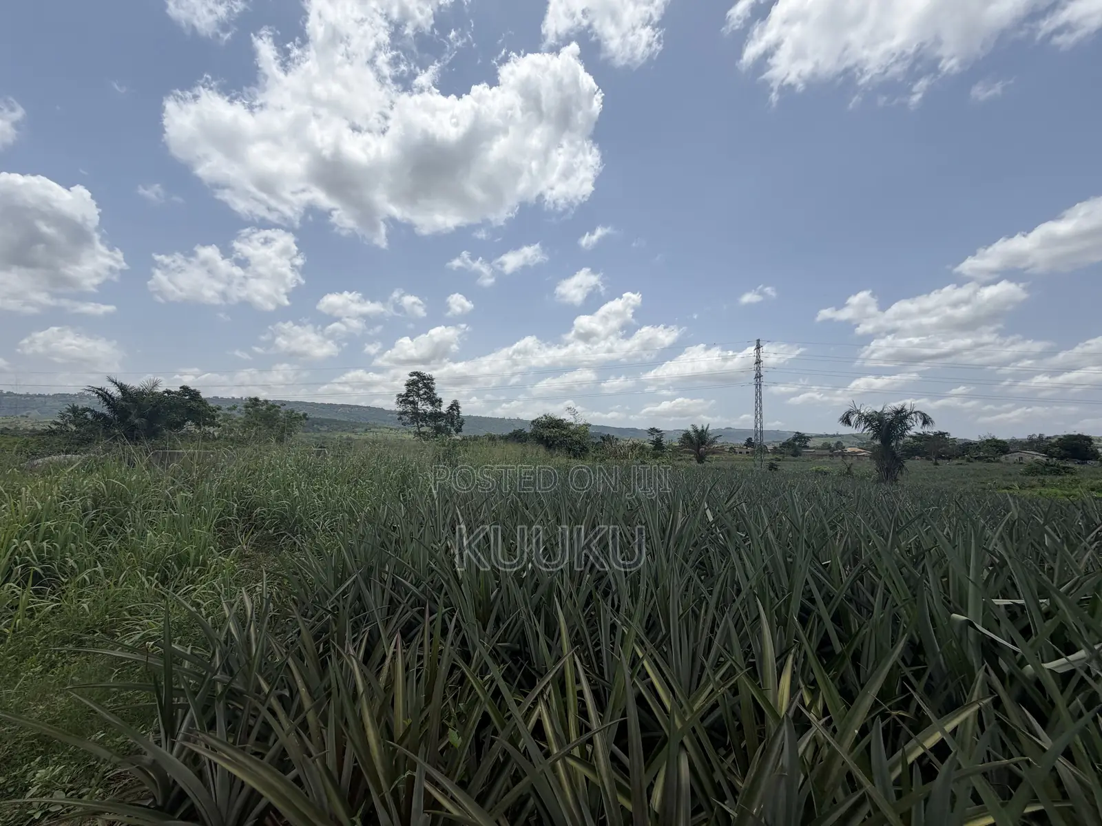 Aburi-Pokrom-Amanfrom Land in Akuapim South