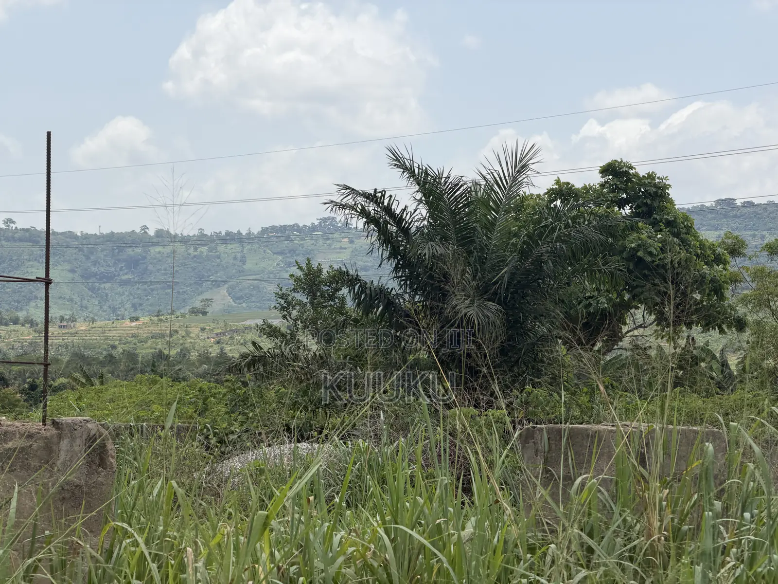 Aburi-Pokrom-Amanfrom Land in Akuapim South