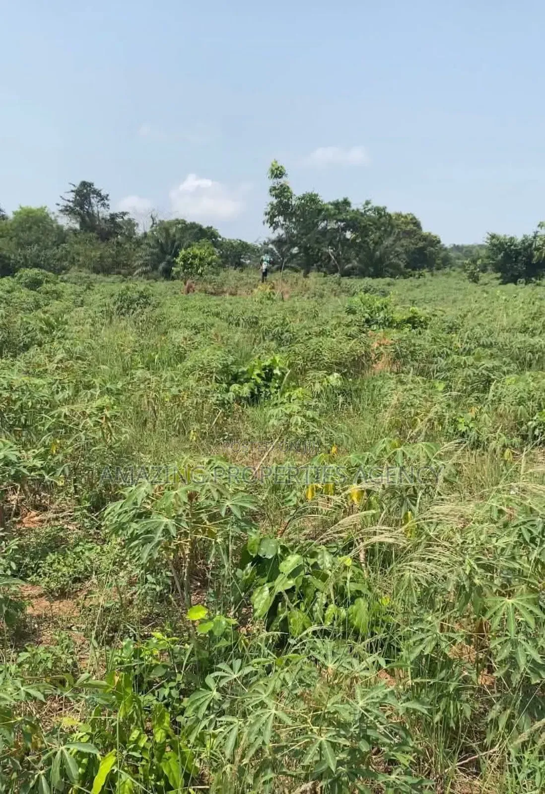 2 Plots of Land for Sale at Lashibi, Emefs in Lashibi