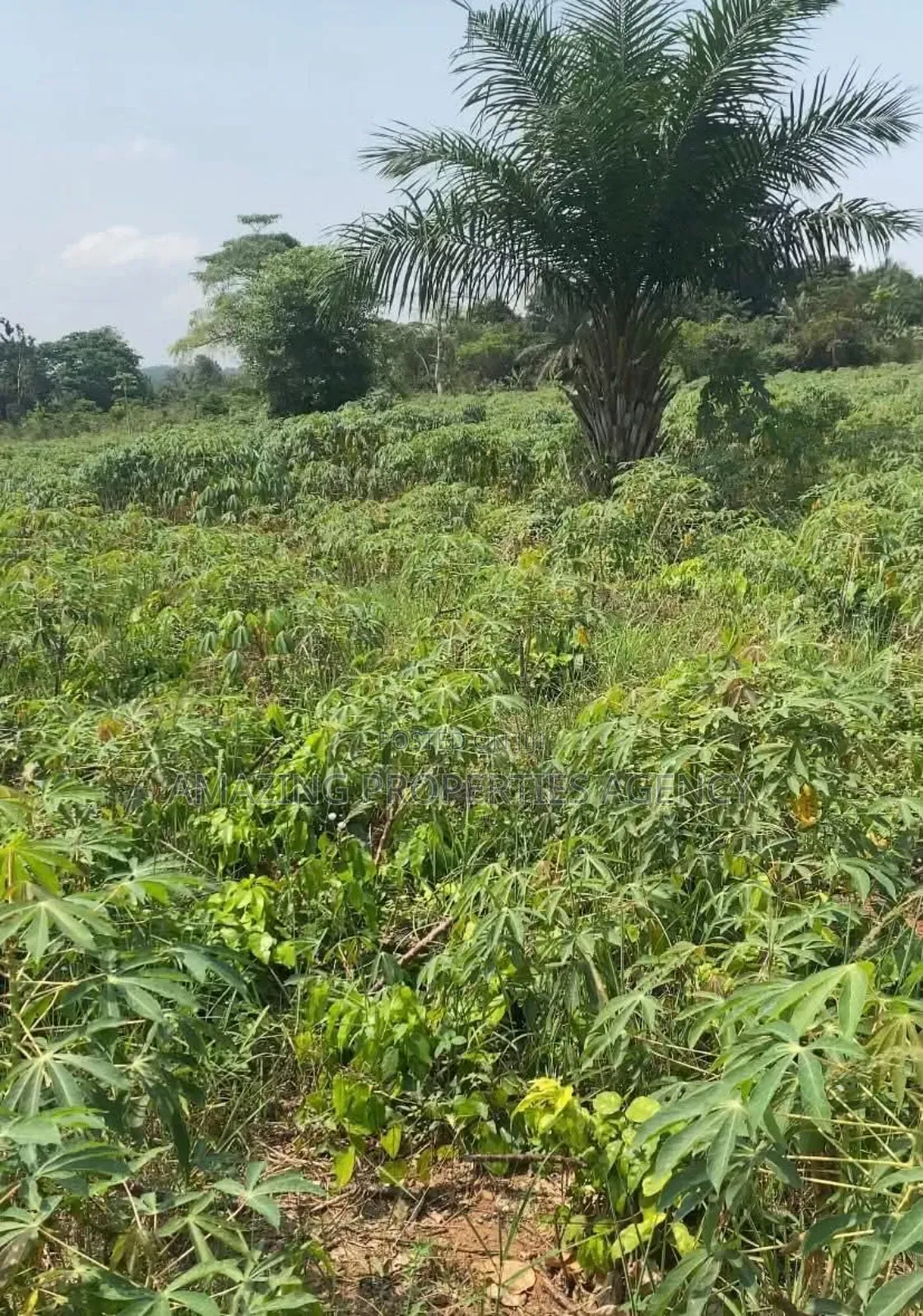 2 Plots of Land for Sale at Lashibi, Emefs in Lashibi