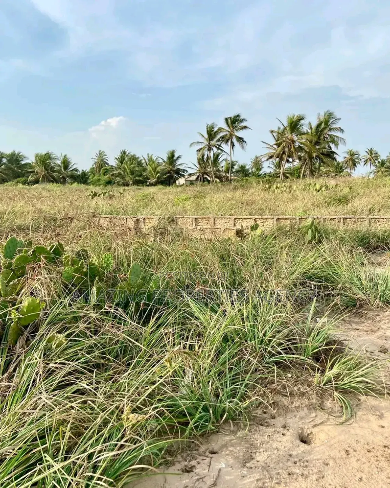 5 Plots of Land Available for Sale at Lashibi, Behind Emefs in Lashibi