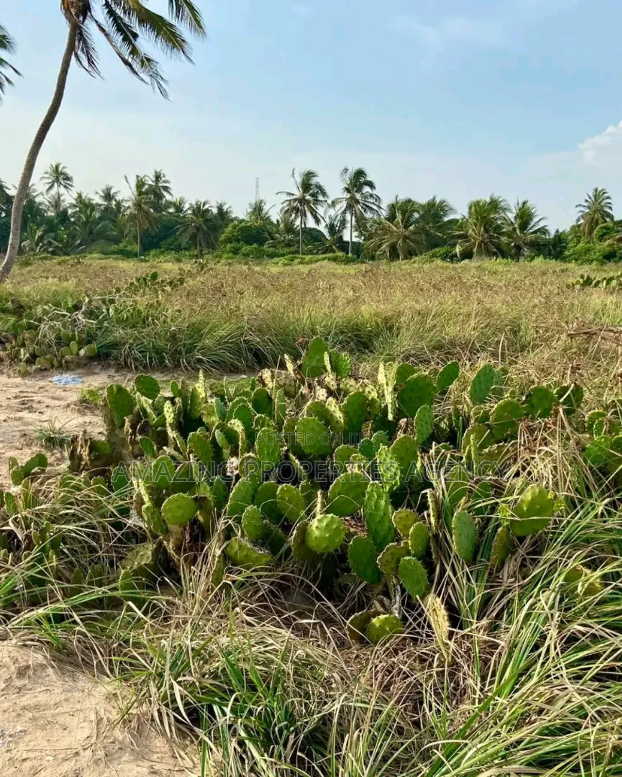 5 Plots of Land Available for Sale at Lashibi, Behind Emefs in Lashibi