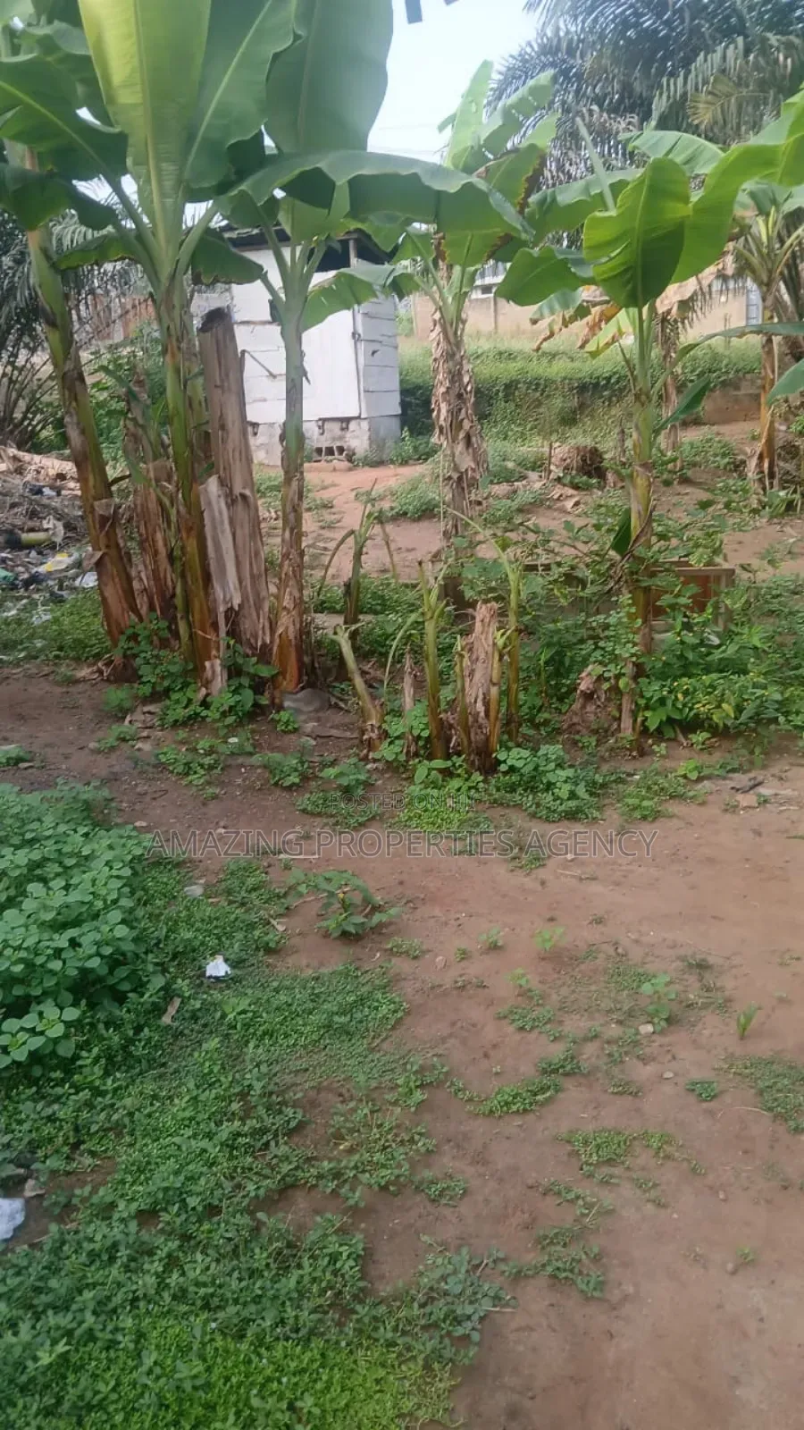 2 Plots 120ft/110ft) of Land With an Old Building for Sale at Dzorwulu in Nyaho Medical Centre