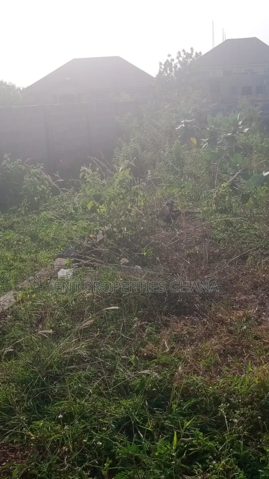 Road Side Lands for Sale at Afienya -Akosombo Main Road in Dawhenya