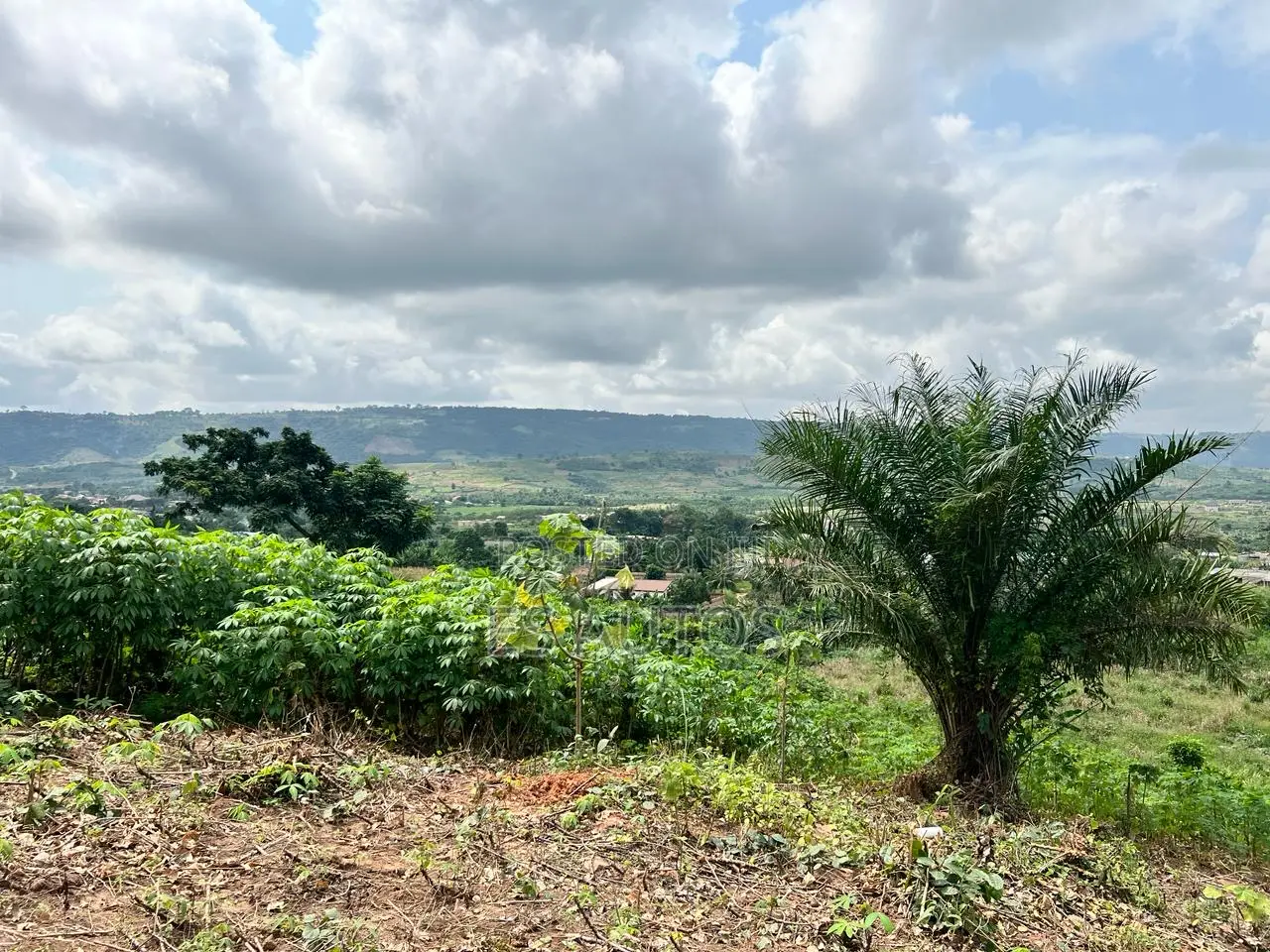 Residential and Commercial Lands in Aburi