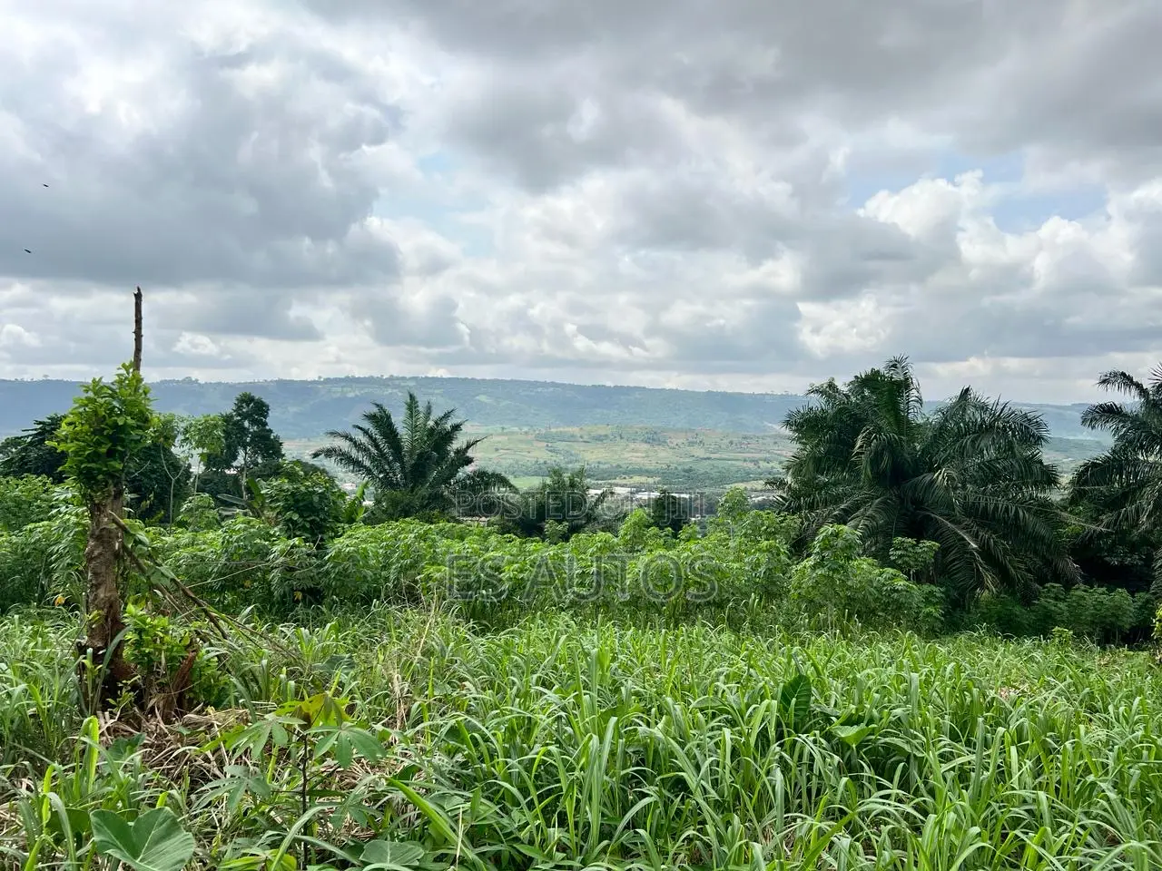 Residential and Commercial Lands in Aburi