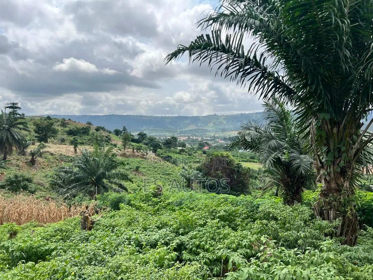 Residential and Commercial Lands in Aburi