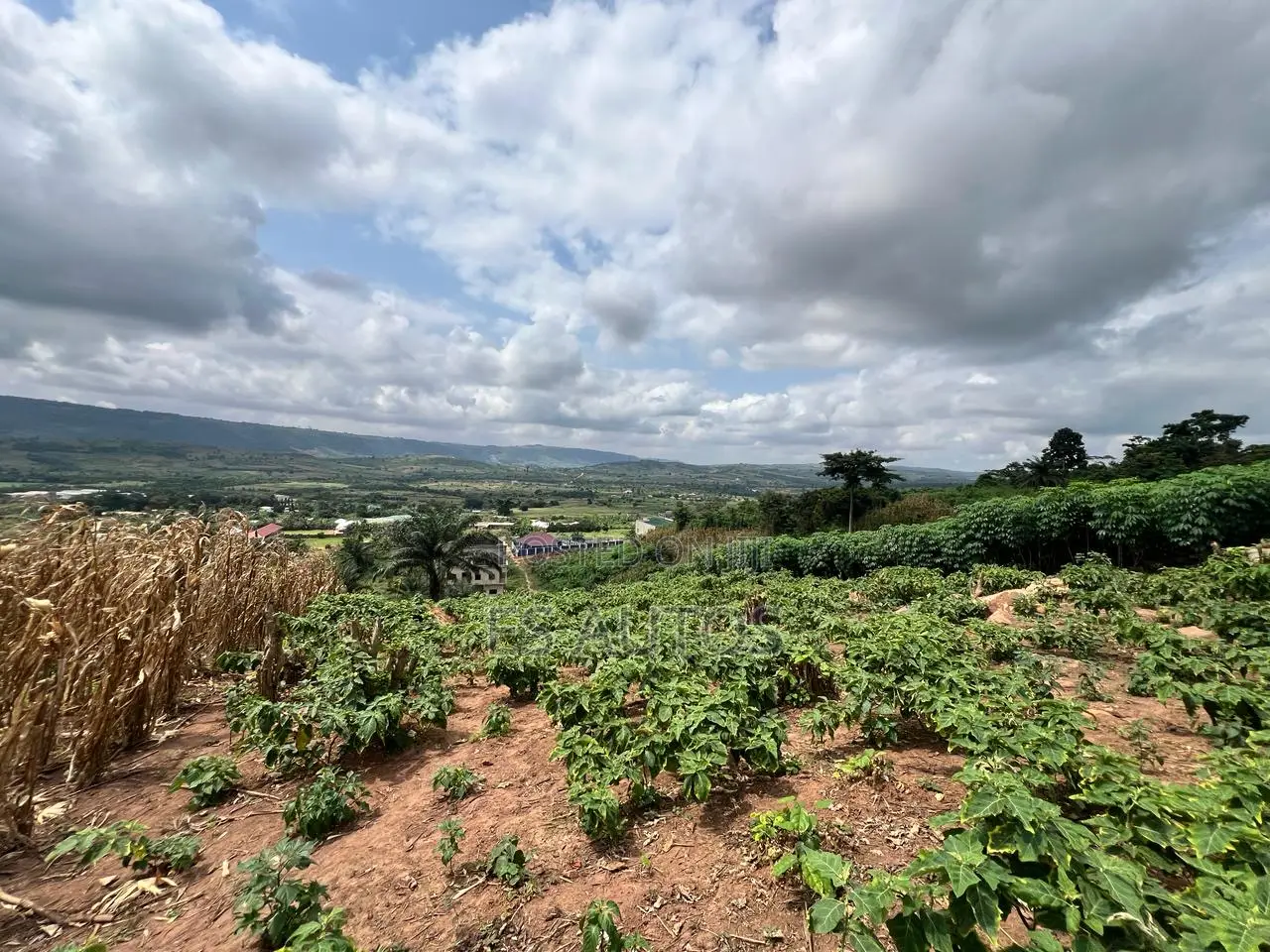 Residential and Commercial Lands in Aburi