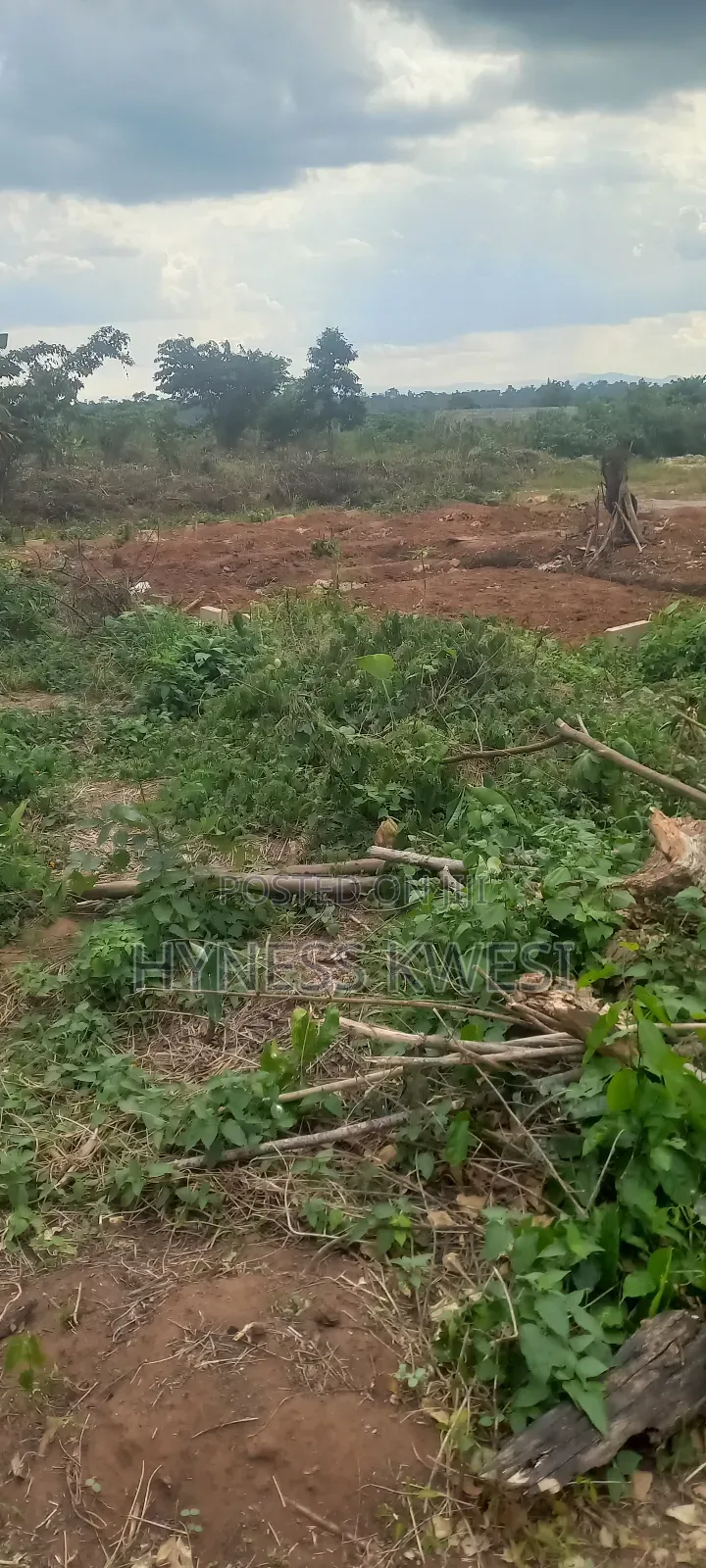 Plots of Lands in New-Juaben Municipal
