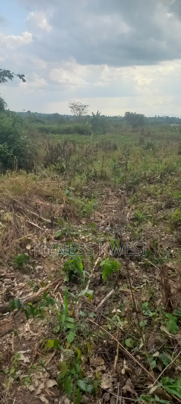 Plots of Lands in New-Juaben Municipal