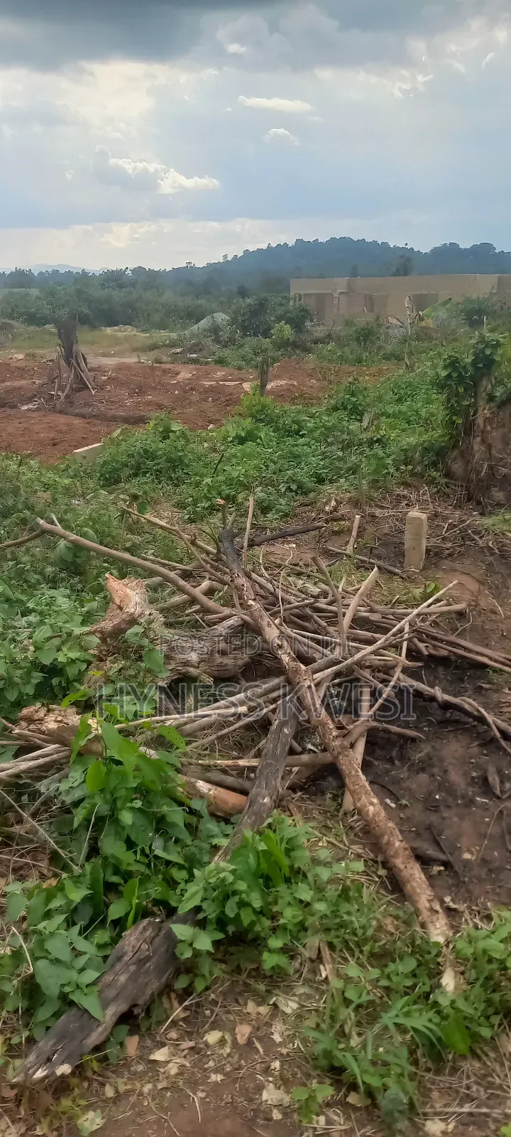 Plots of Lands in New-Juaben Municipal