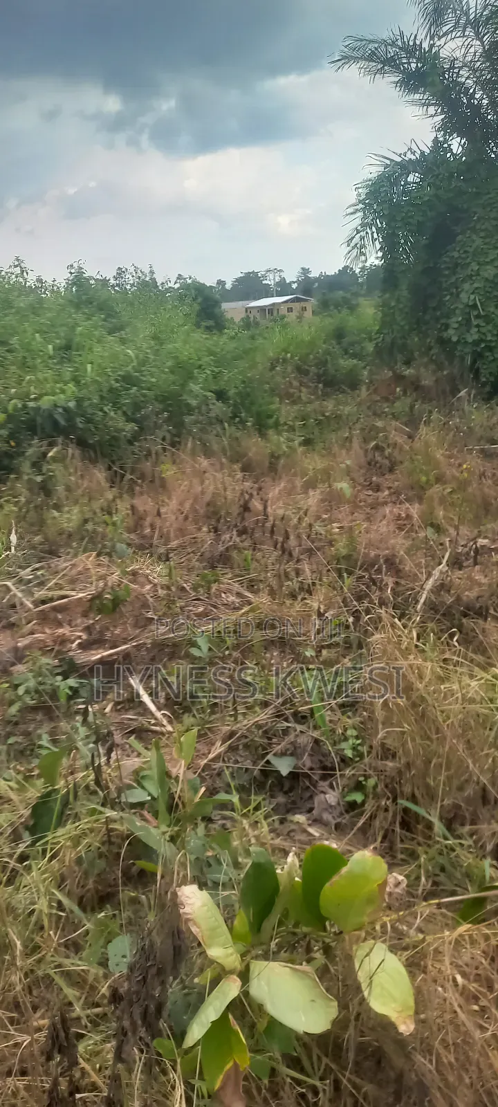 Plots of Lands in New-Juaben Municipal