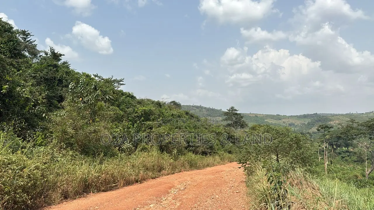 Executive Land for Sale at Aburi Jamaicaso in Aburi