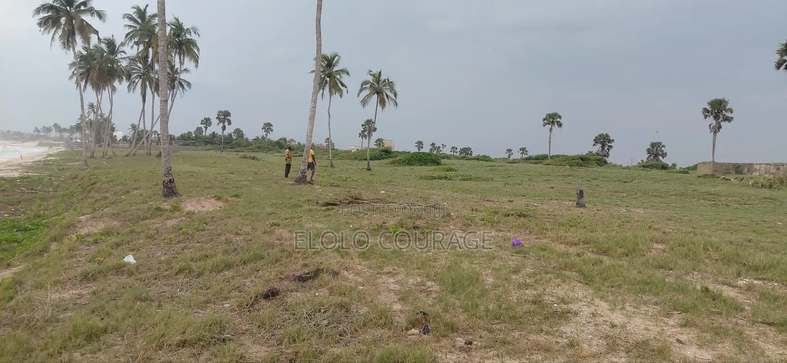 Titled Beach Land For Sale At Kokrobite in Ga South Municipal