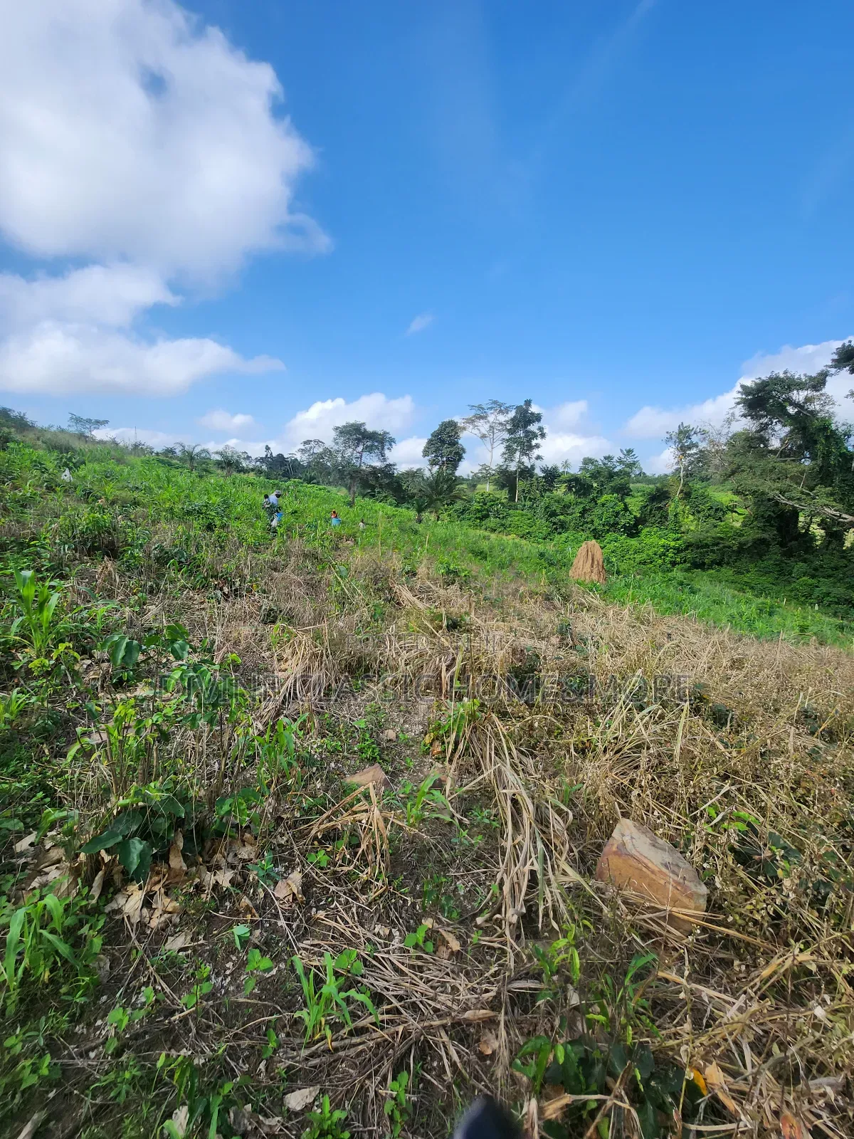 1 Plot of Land at Medea Samsam in Mataheko