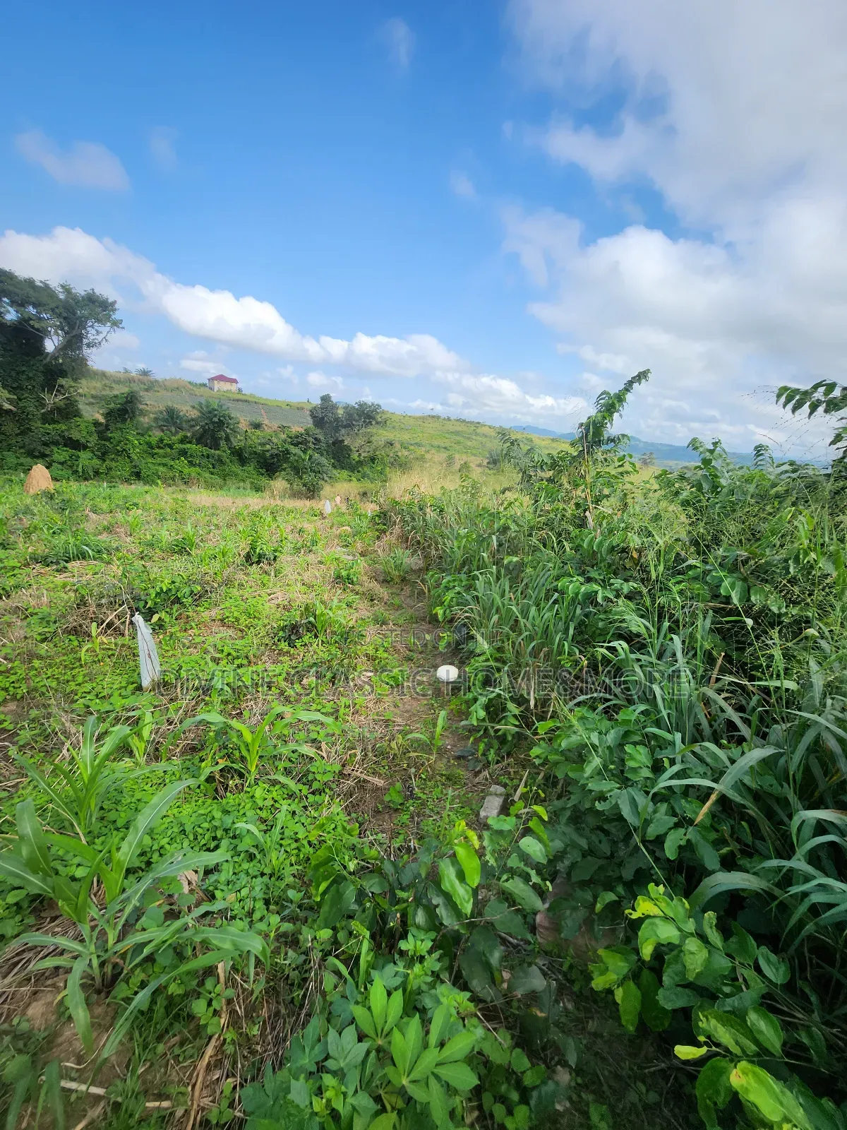 1 Plot of Land at Medea Samsam in Mataheko