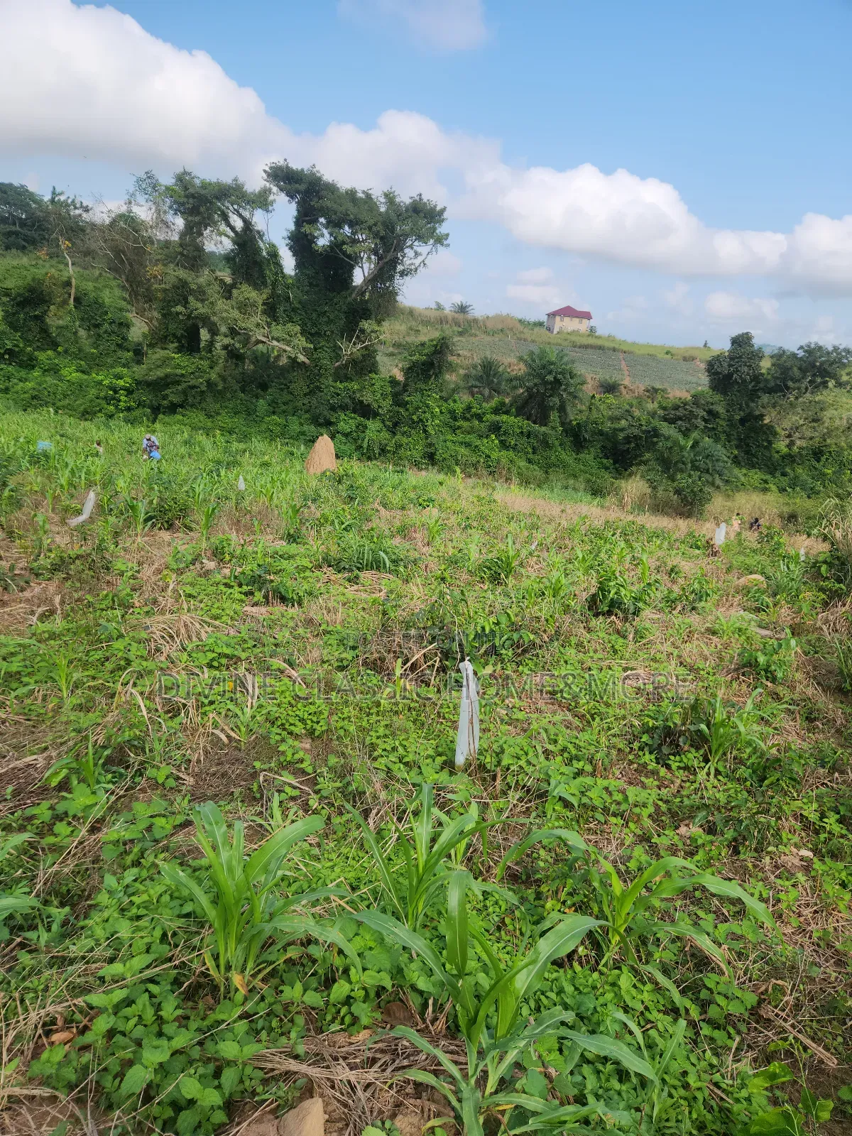 1 Plot of Land at Medea Samsam in Mataheko