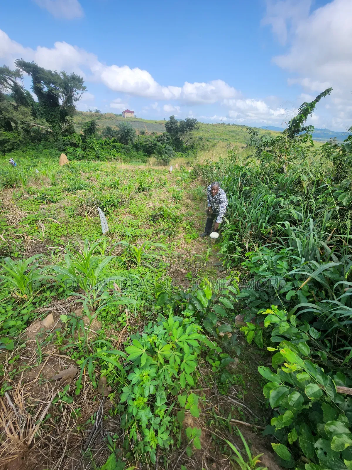 1 Plot of Land at Medea Samsam in Mataheko