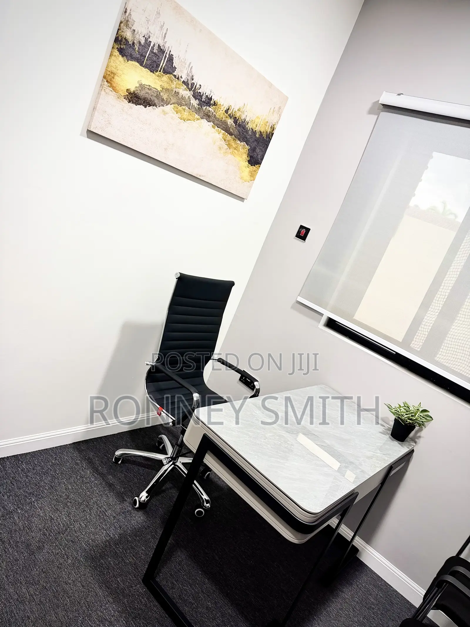 Luxury Executive Office Suites | Move-in Ready in Special School Area