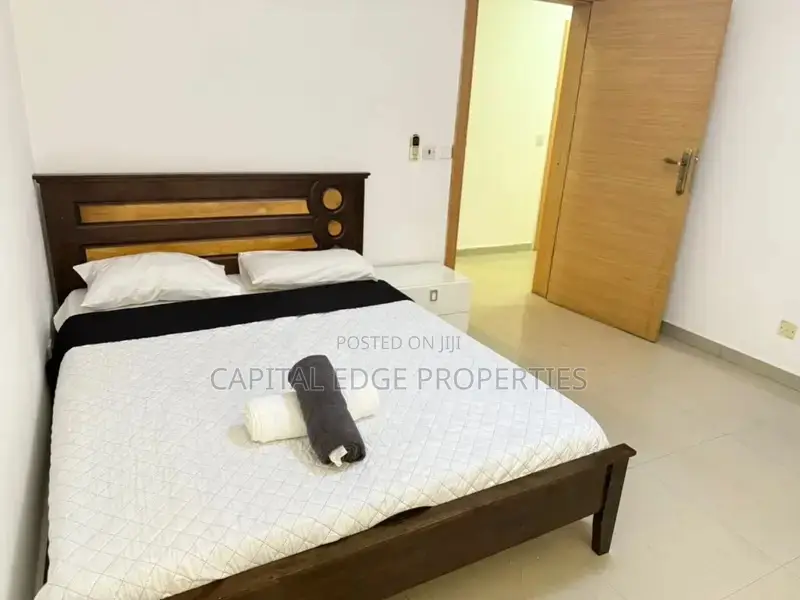 Furnished 3bdrm Apartment in Labone for rent in Labone