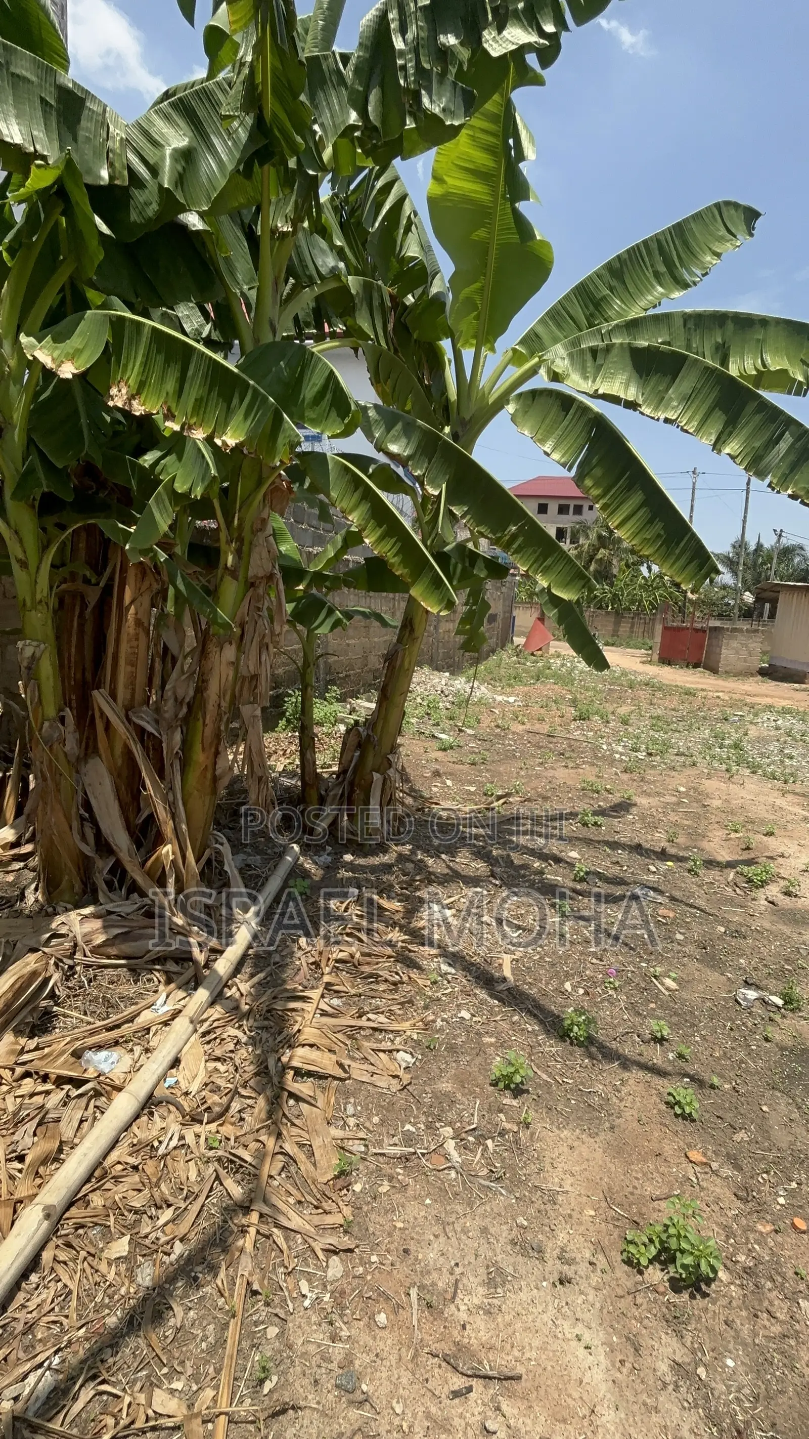 Title Land for Sale at Ashley Botwe in Ashaley Botwe