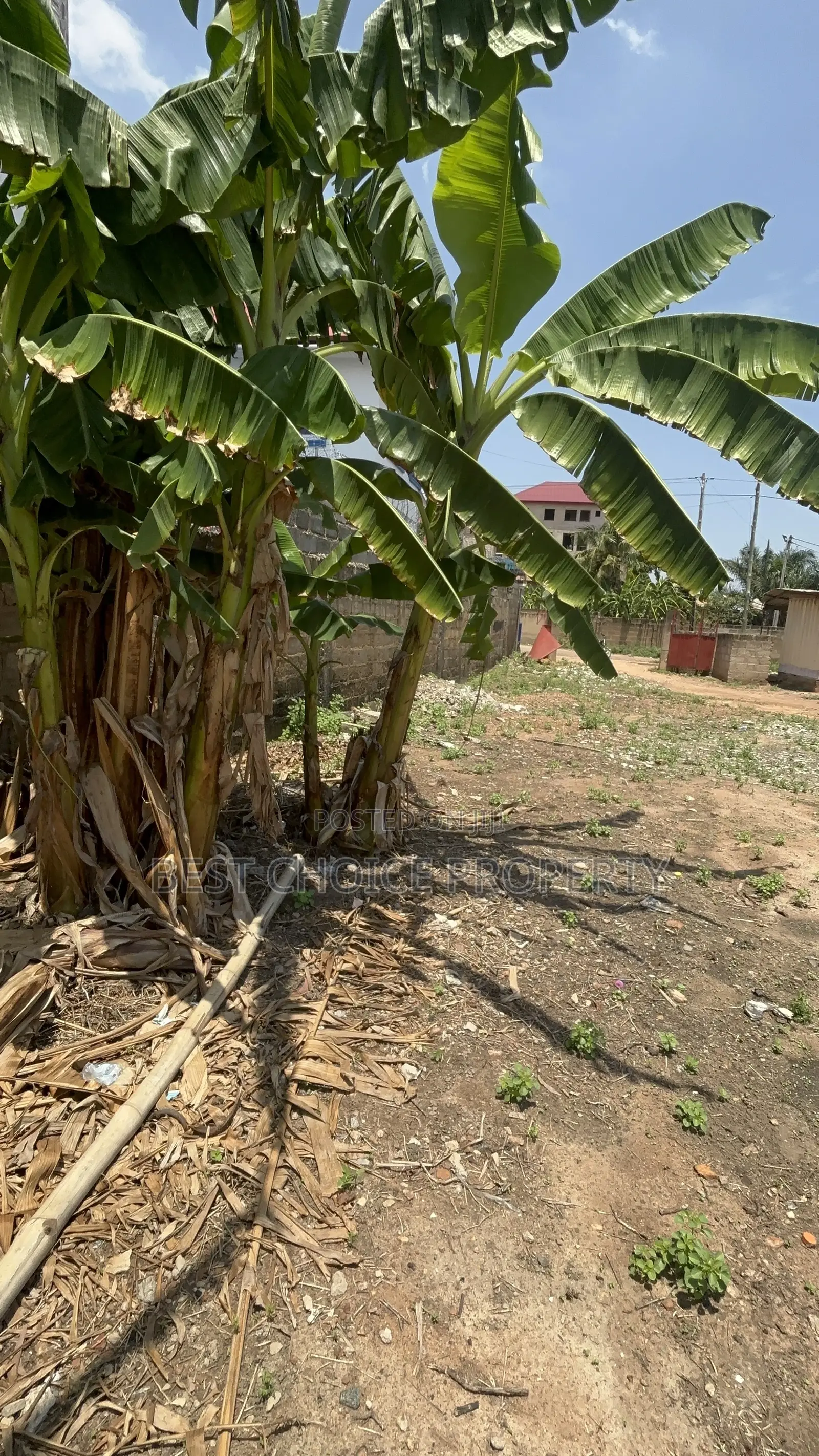 Title Land for Sale at Ashley Botwe in Ashaley Botwe