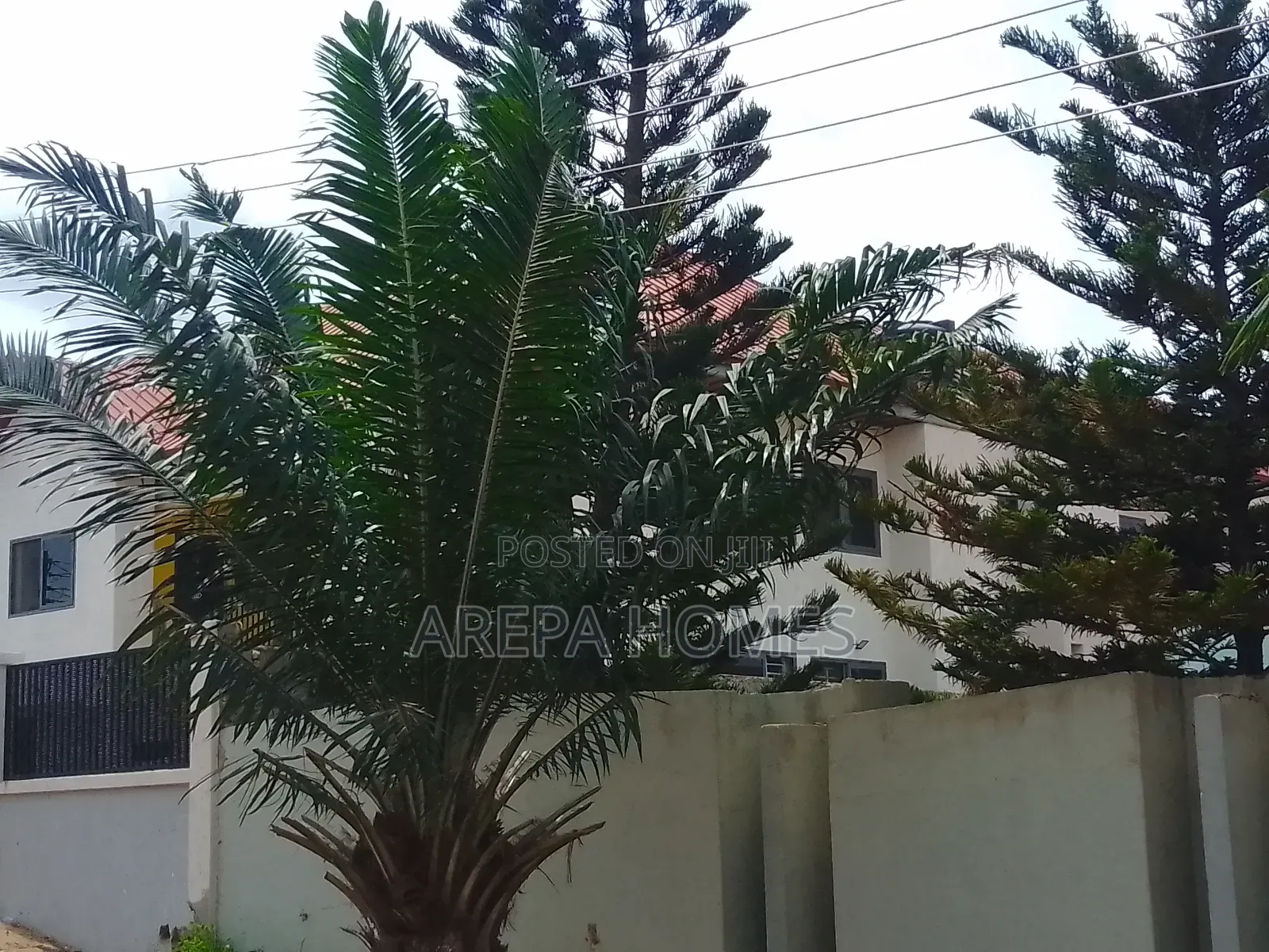 Freehold 100/100 Land Size at Adenta Ritz Junction for Sale in Madina