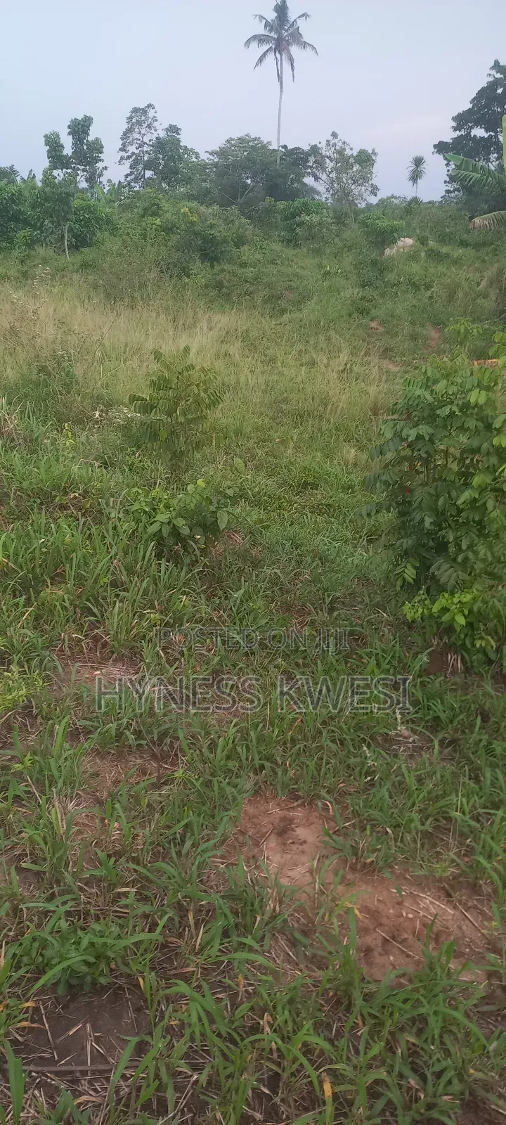 Plot of Lands in New-Juaben Municipal