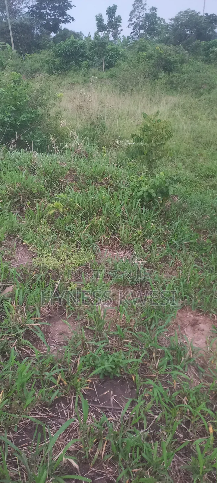 Plot of Lands in New-Juaben Municipal