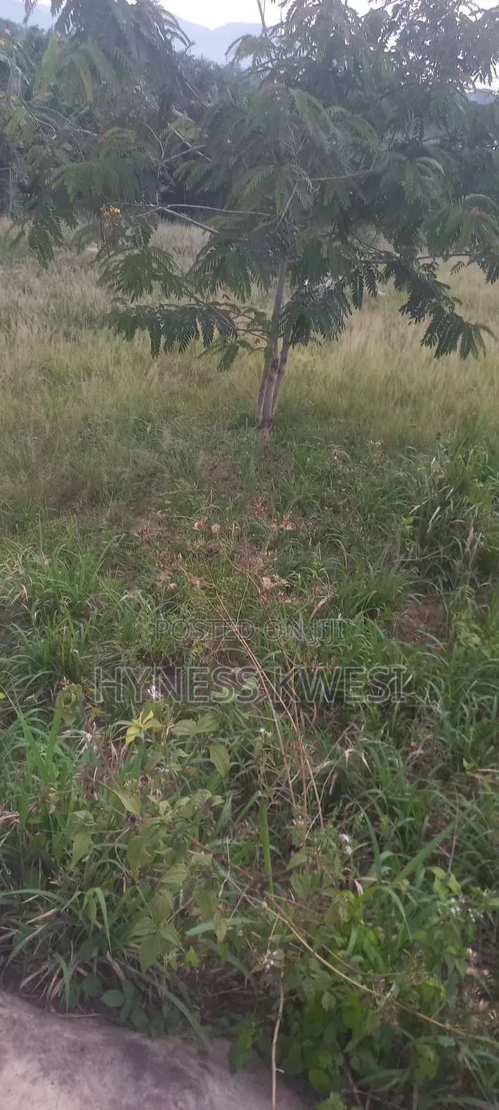 Plot of Lands in New-Juaben Municipal