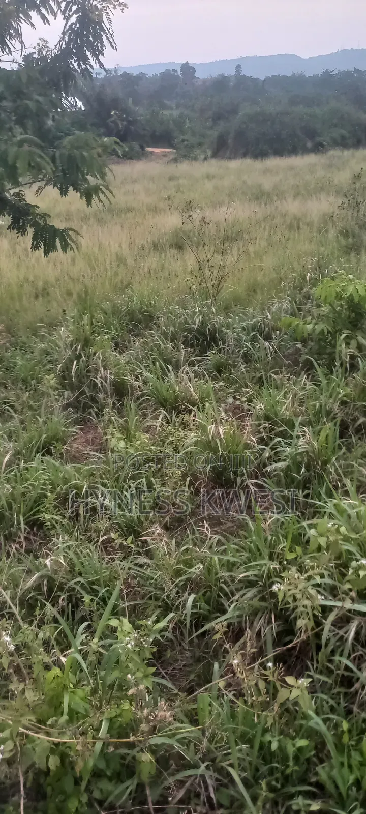 Plot of Lands in New-Juaben Municipal