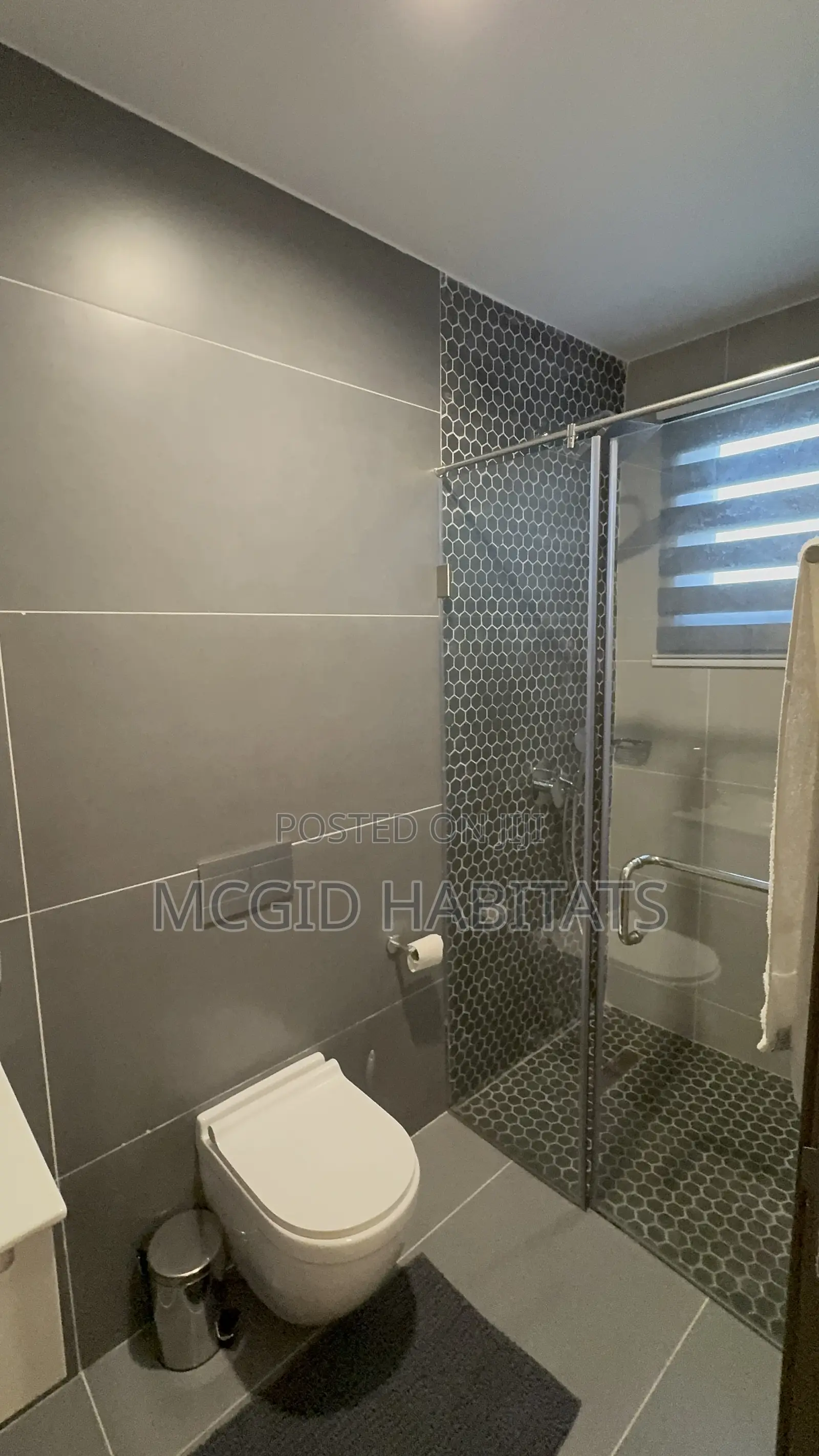 Furnished 2bdrm Apartment in Tseaddo for rent in Tseaddo