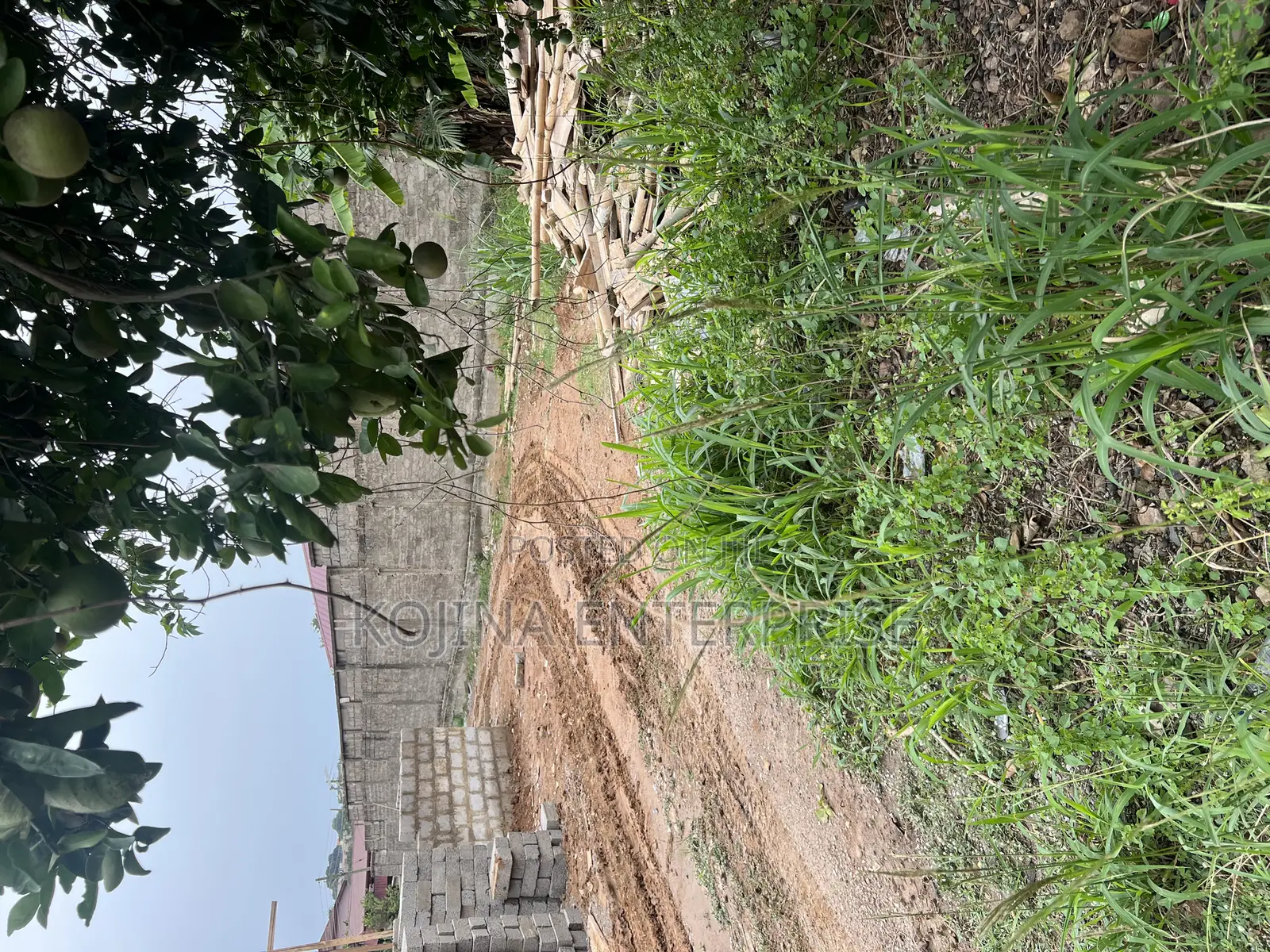 Prime 80×80 Residential Plot for Sale at Danyame – Behind Hans Court | in Kumasi Metropolitan