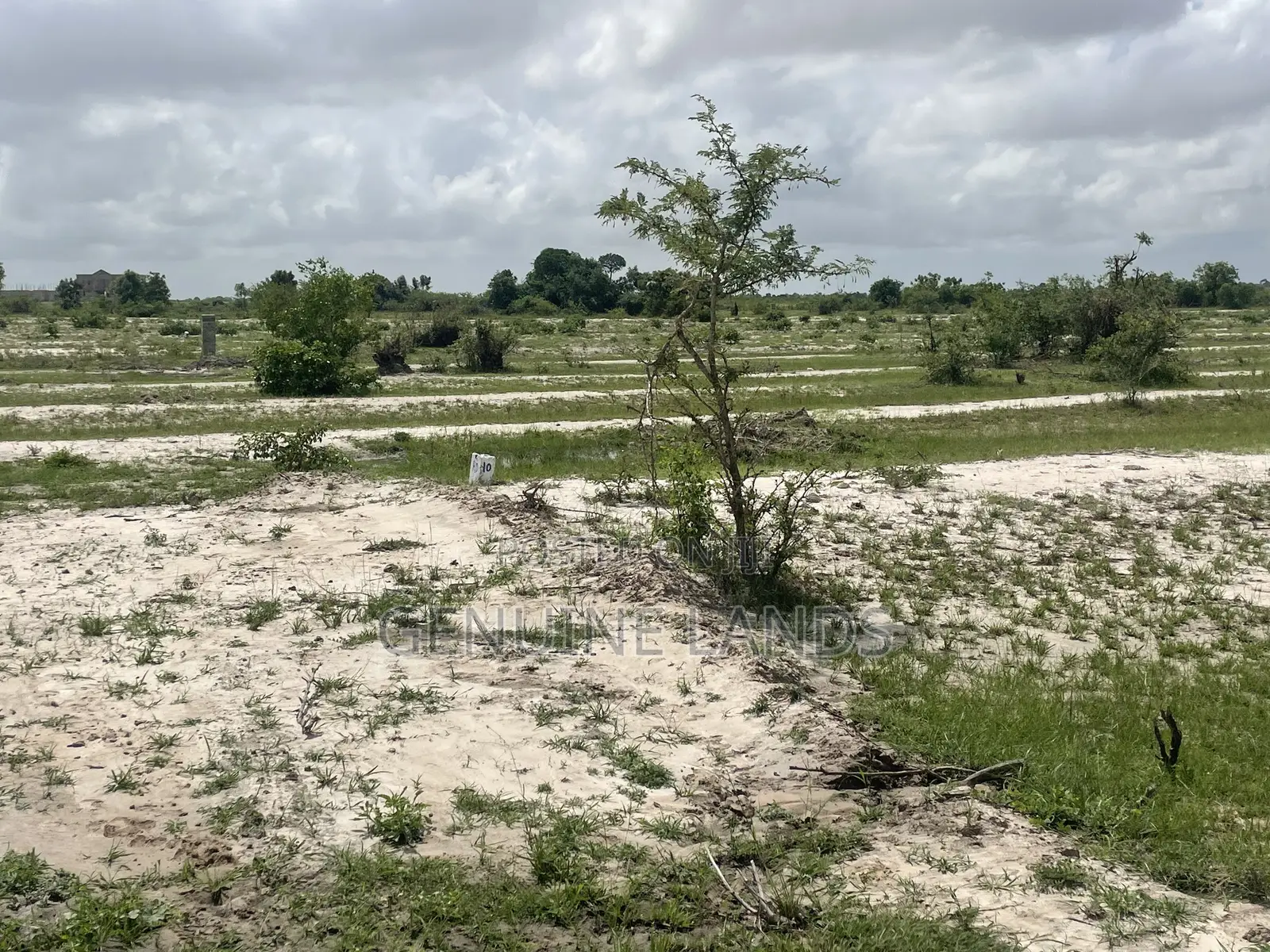 Investment Opportunity, Land for Sale in Tsopoli New Airport City in Accra Metropolitan