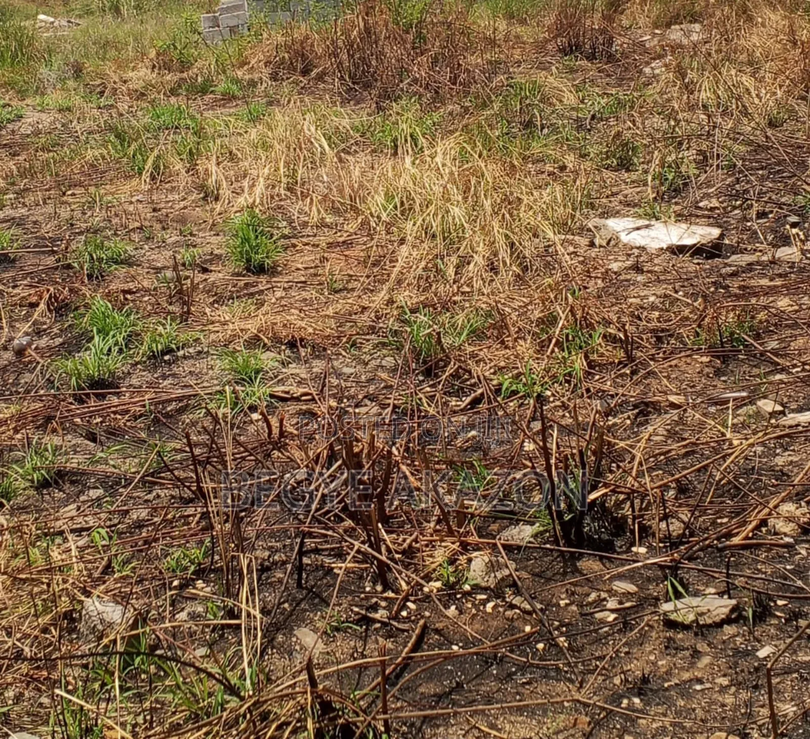3 Plots of Land for Sale at Tesano Police Station in Police Station