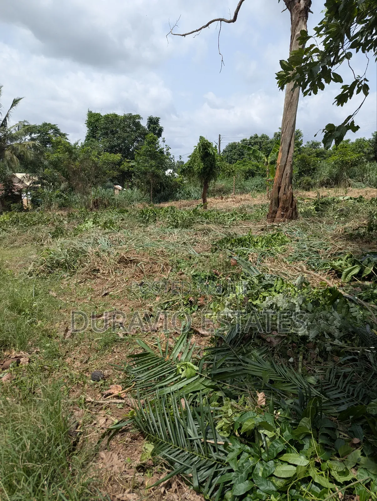 Full Plot in Duravio Estates in Kumasi Metropolitan