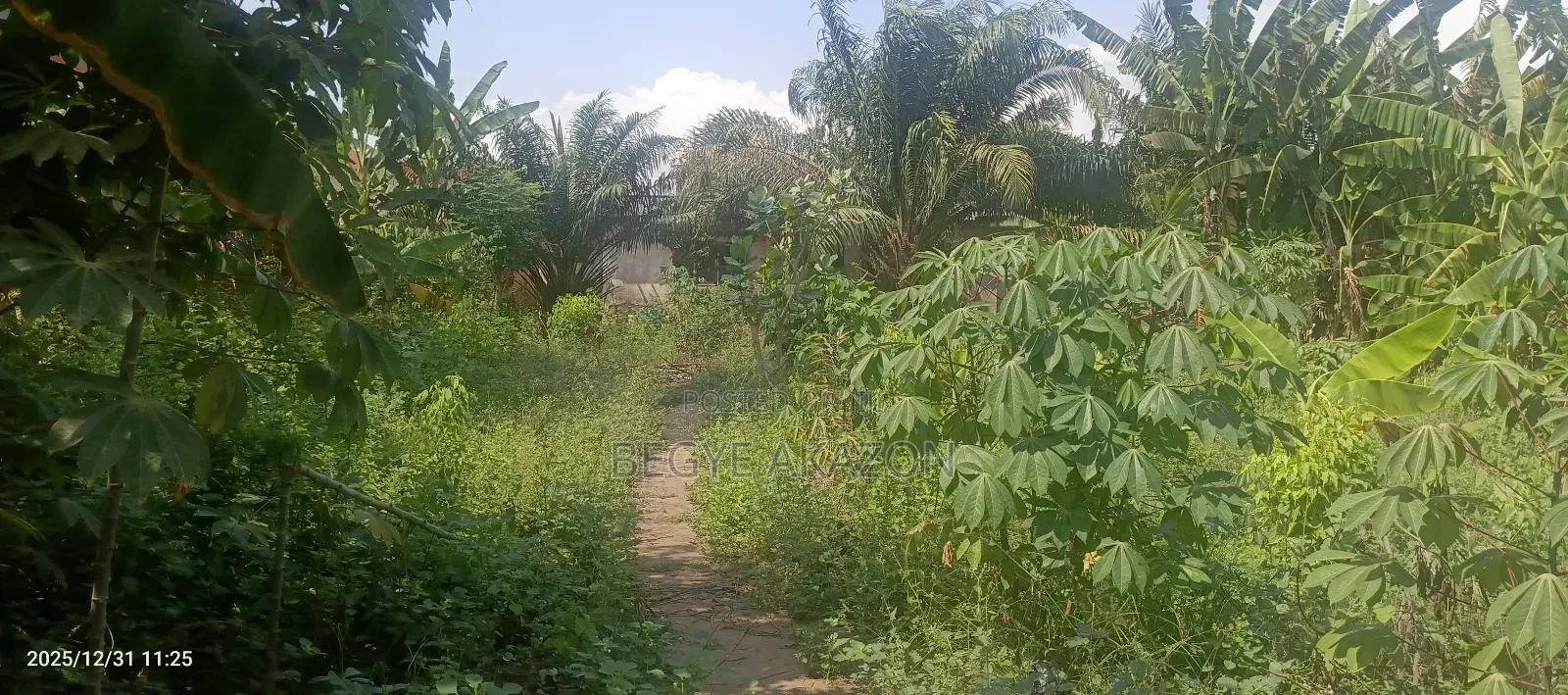 12 Acre Land for Sale at Ayi Mensah in Ghana Flag