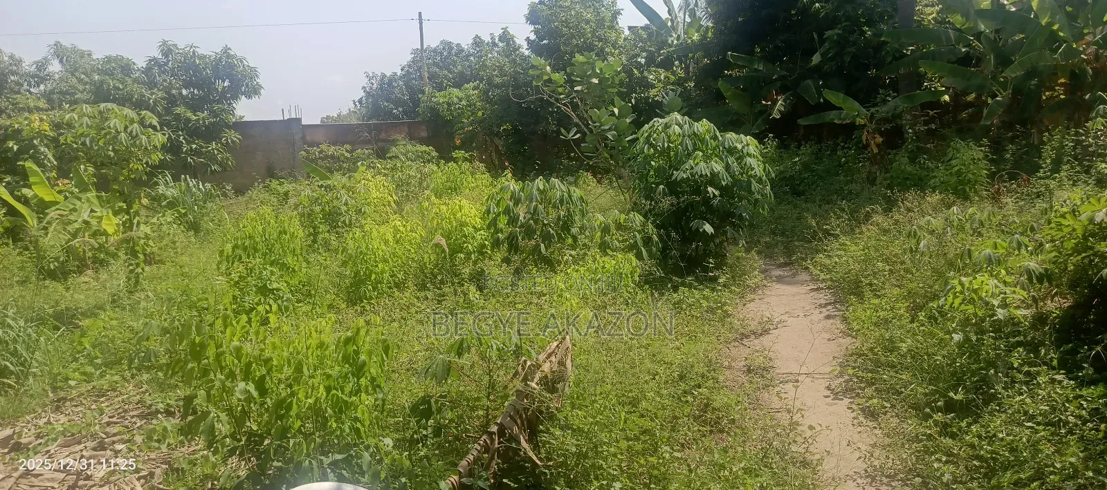 12 Acre Land for Sale at Ayi Mensah in Ghana Flag