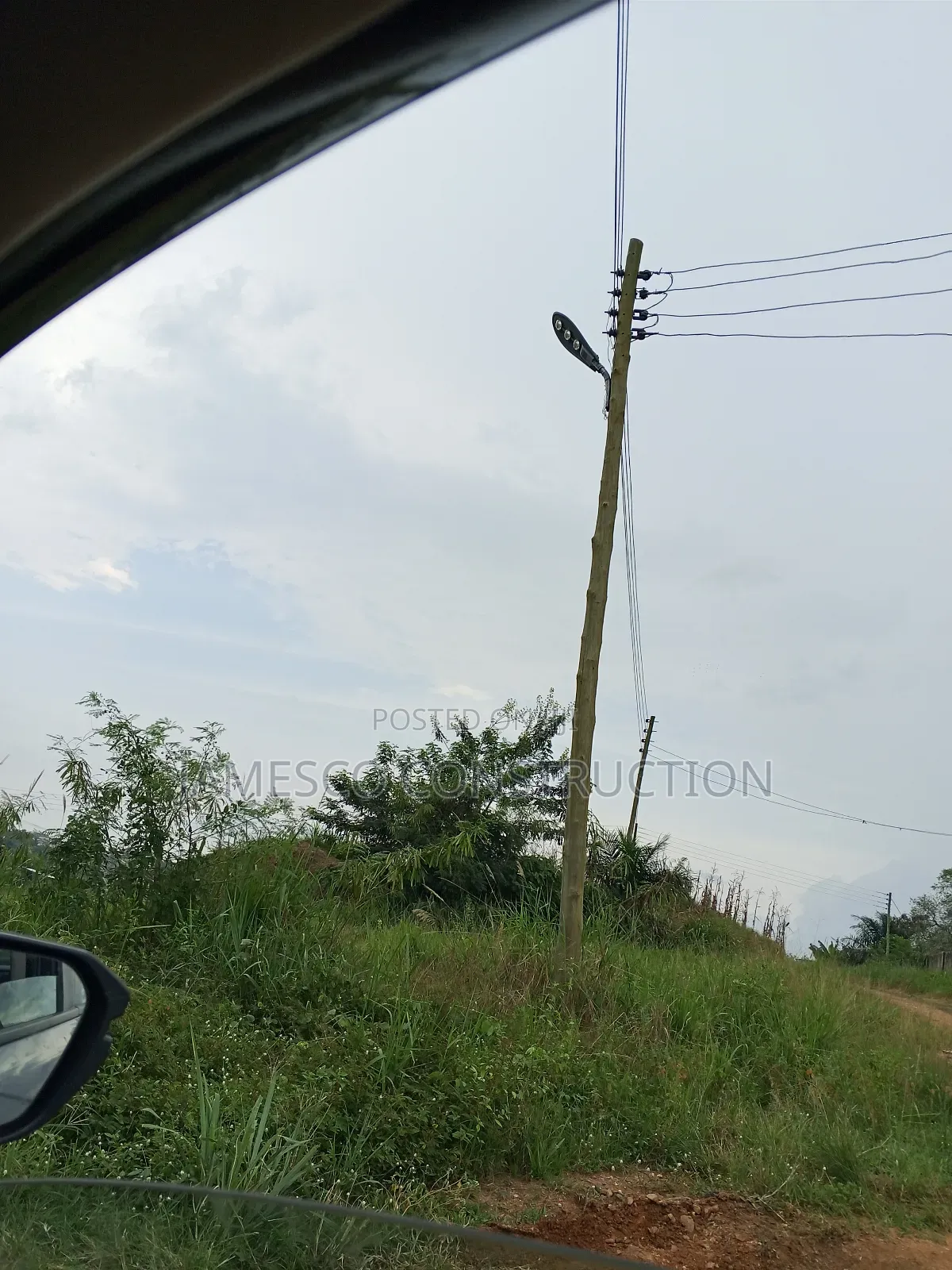 Mango and Coconut Farms for Sale in Ayensuano