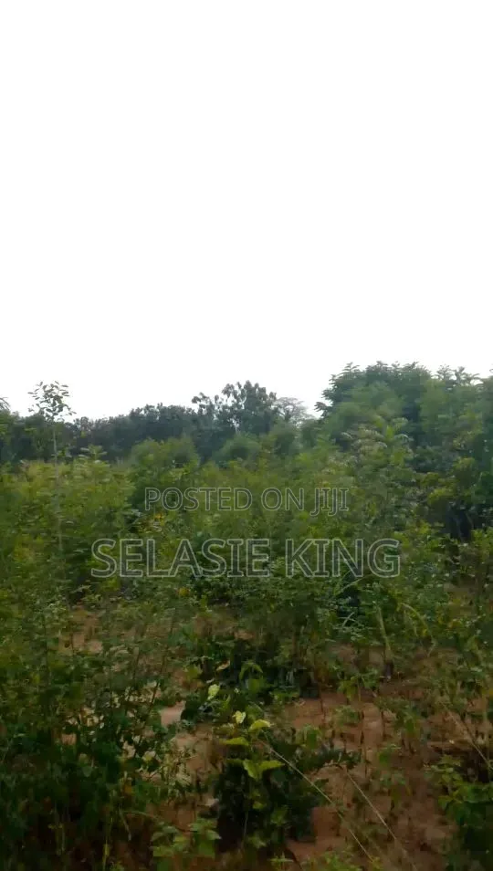 Plots of Land for Sale at Bawaleshie in Bawaleshie